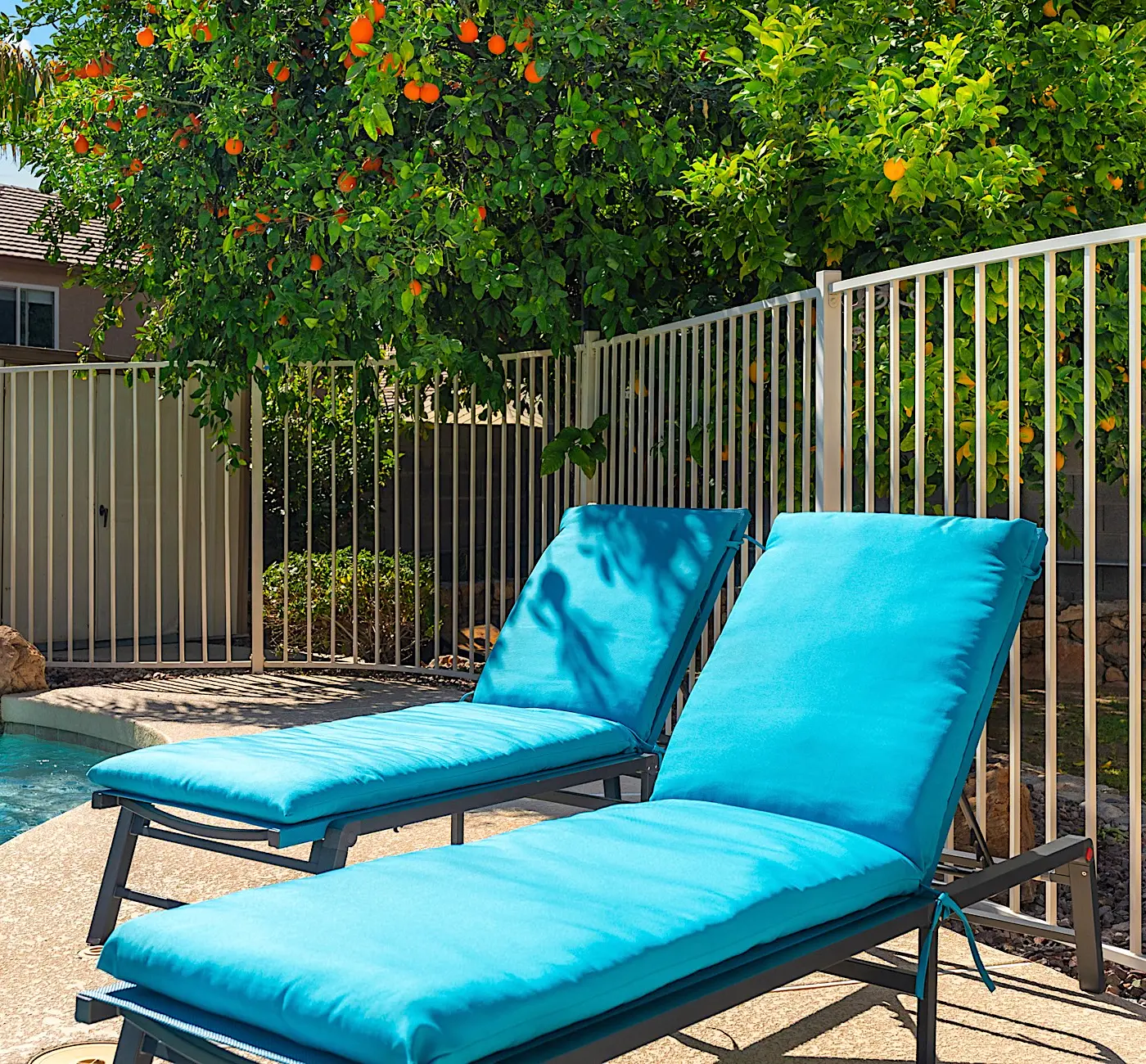 Orange Blossom Hideaway