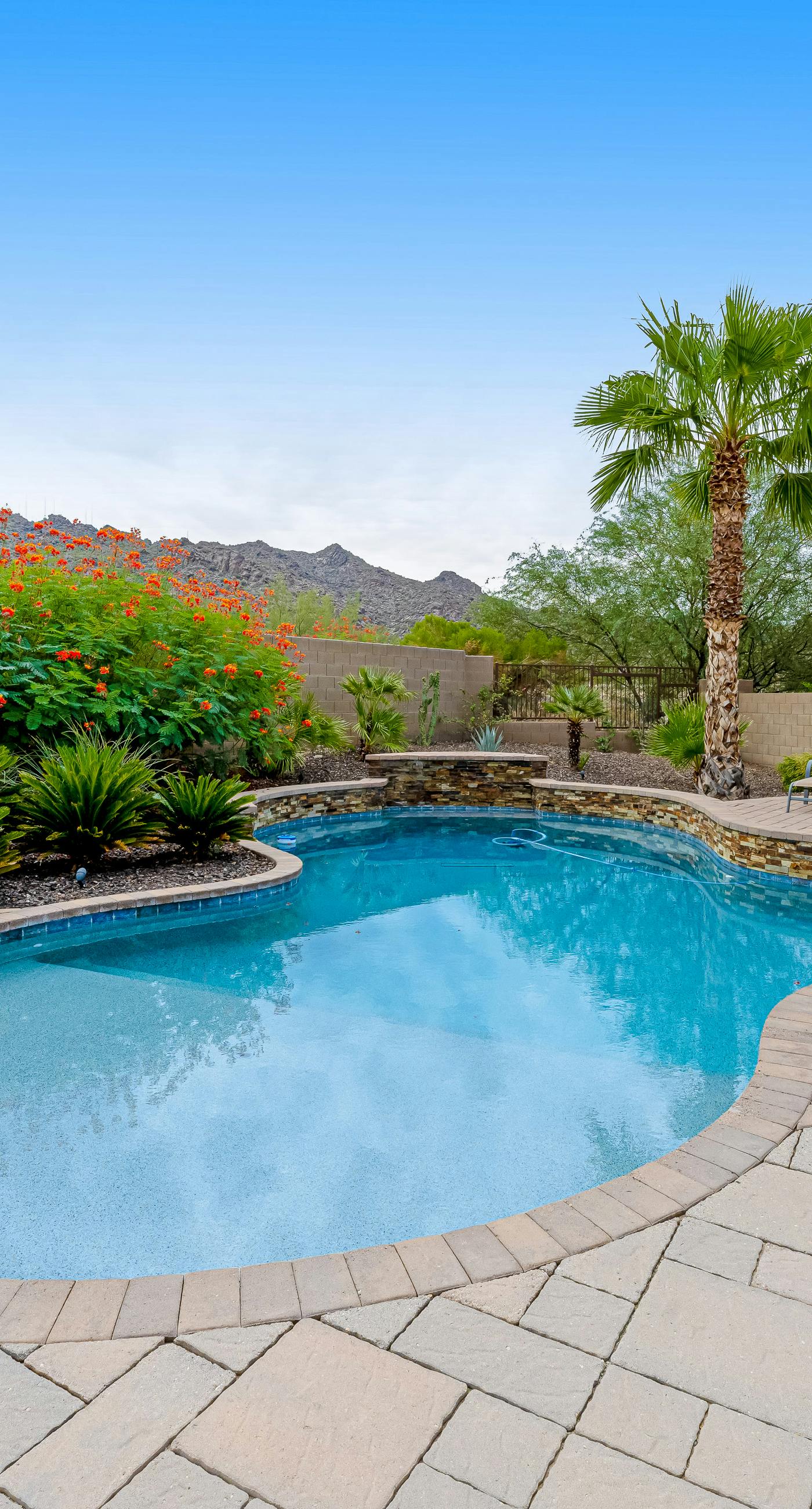 Oasis at South Mountain