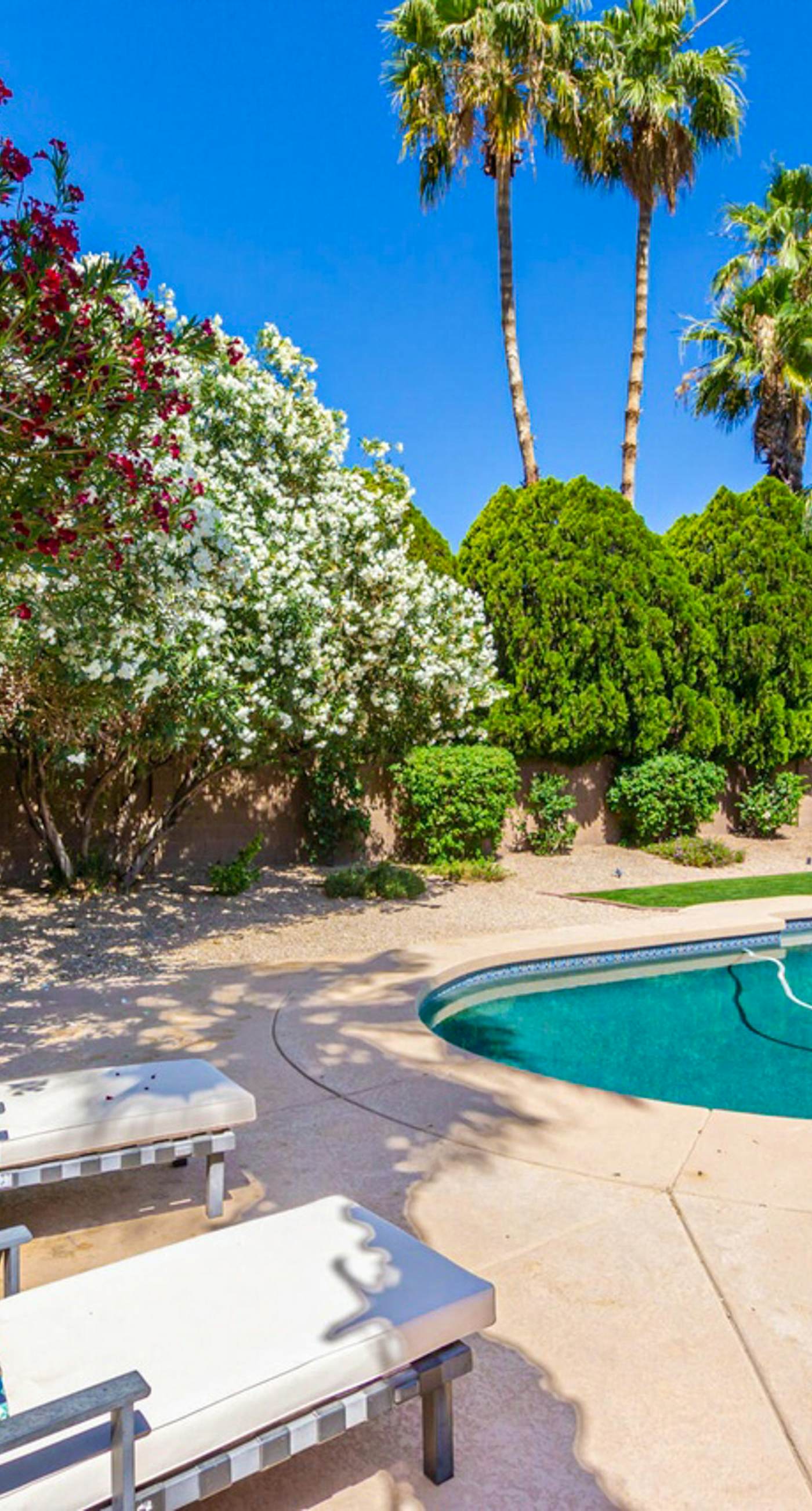 Sun-Kissed in Scottsdale