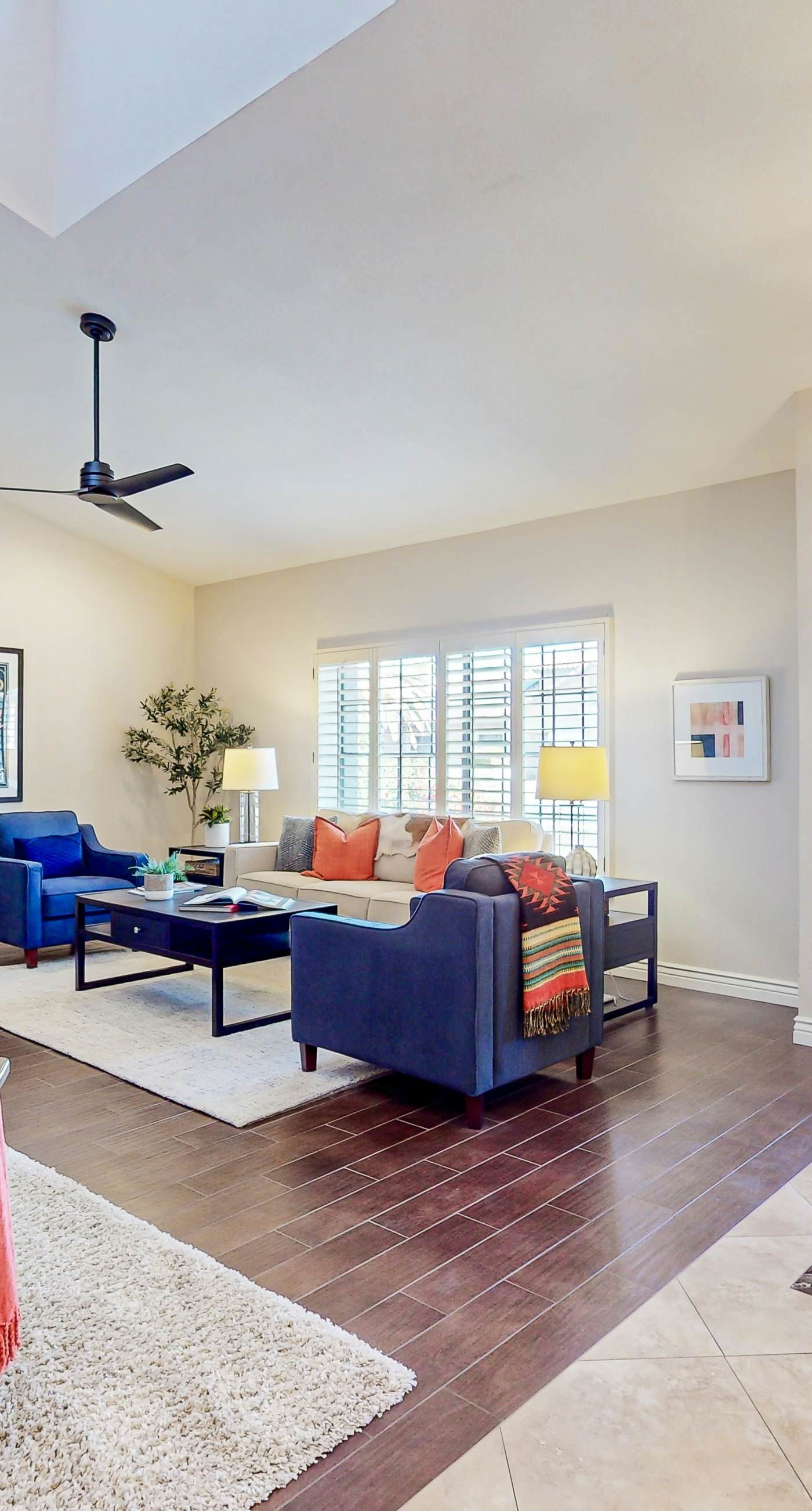 Sun-Kissed in Scottsdale