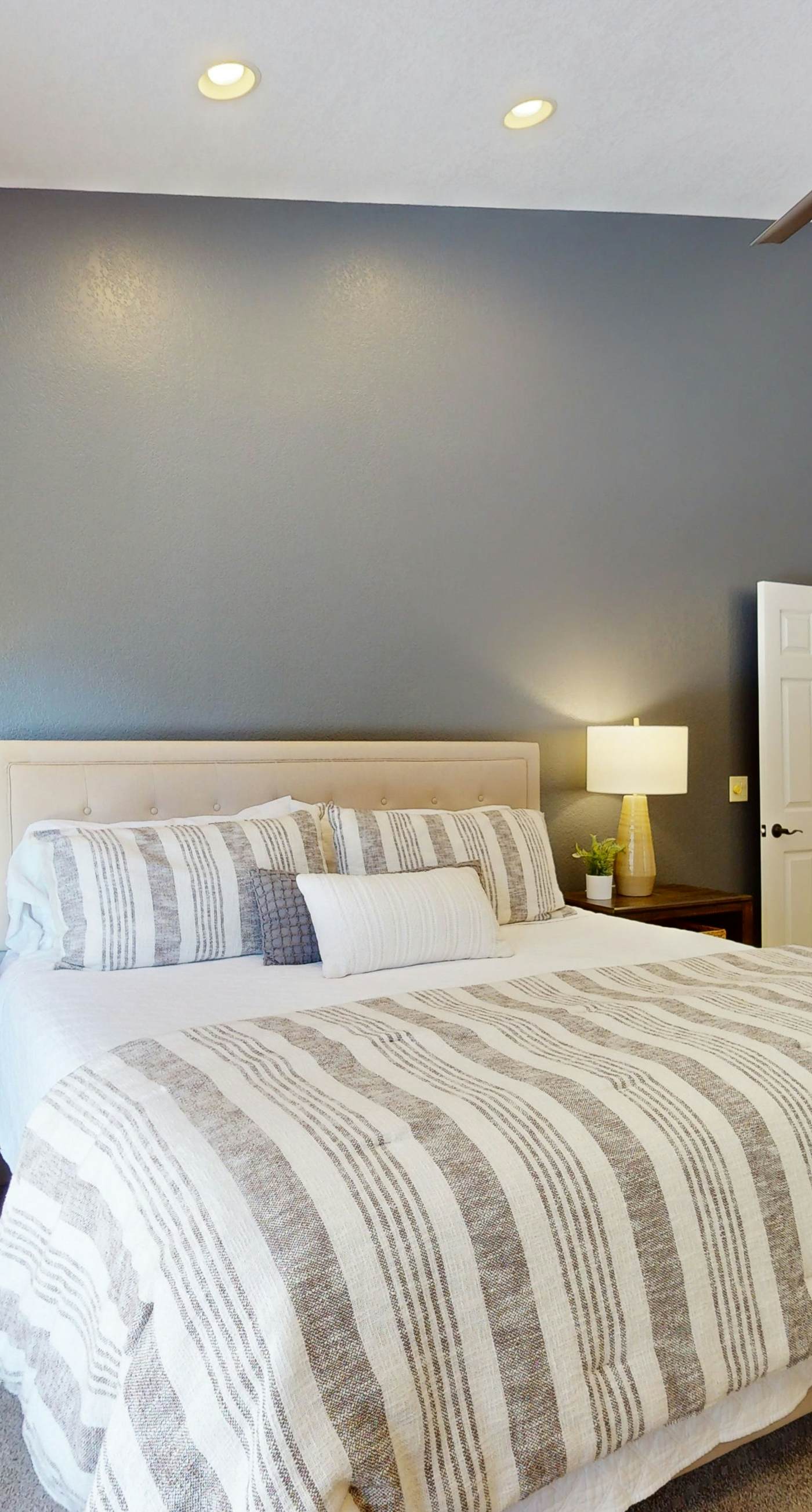 Sun-Kissed in Scottsdale