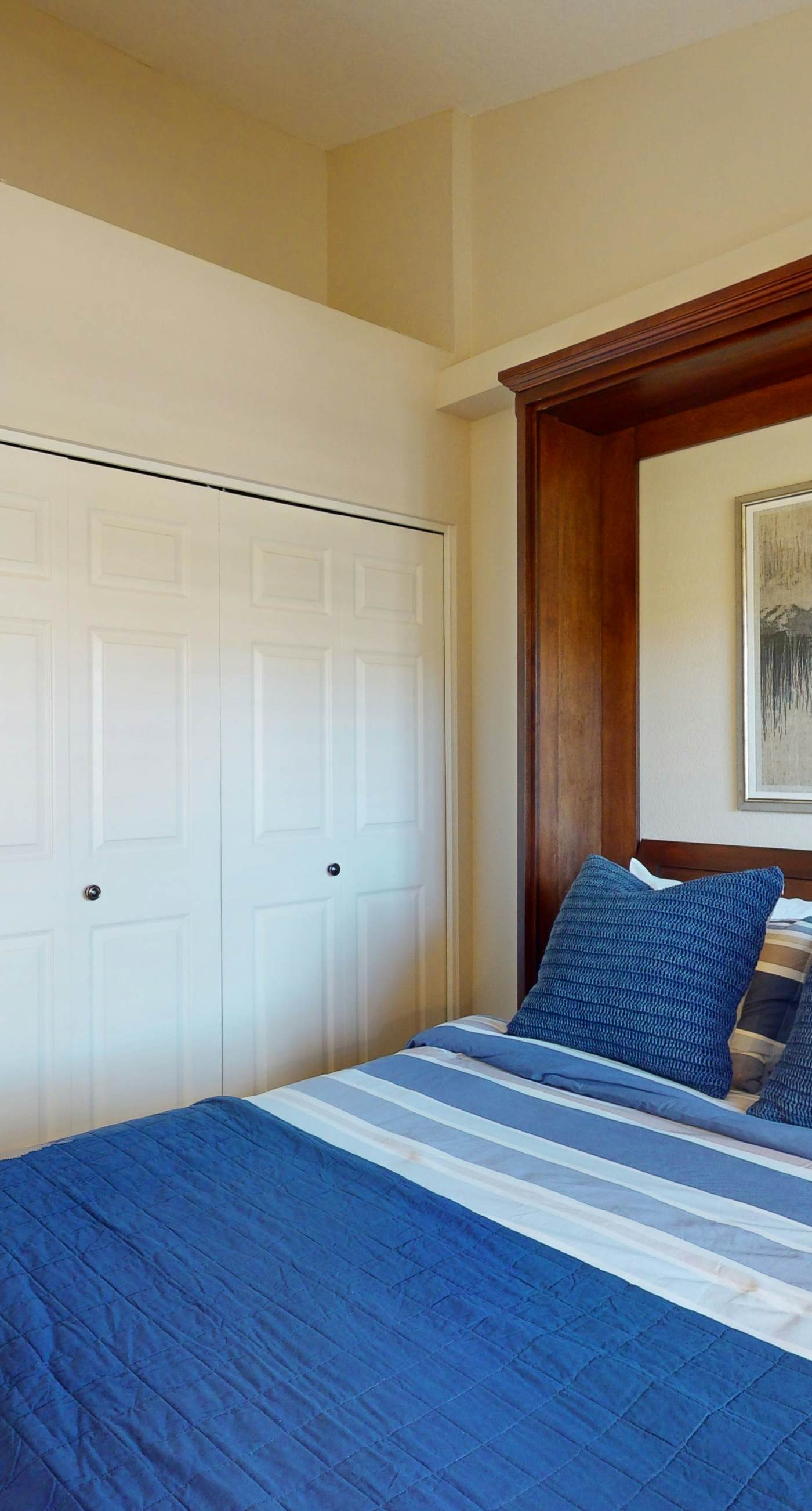 Sun-Kissed in Scottsdale