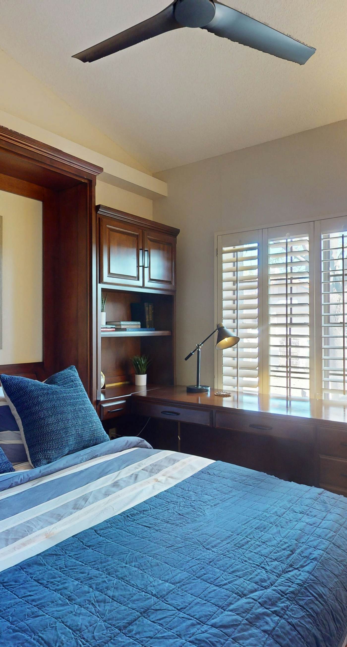 Sun-Kissed in Scottsdale