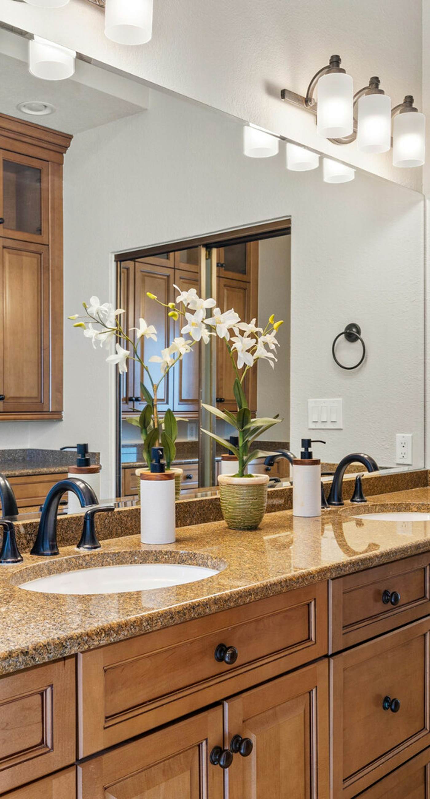 Sun-Kissed in Scottsdale