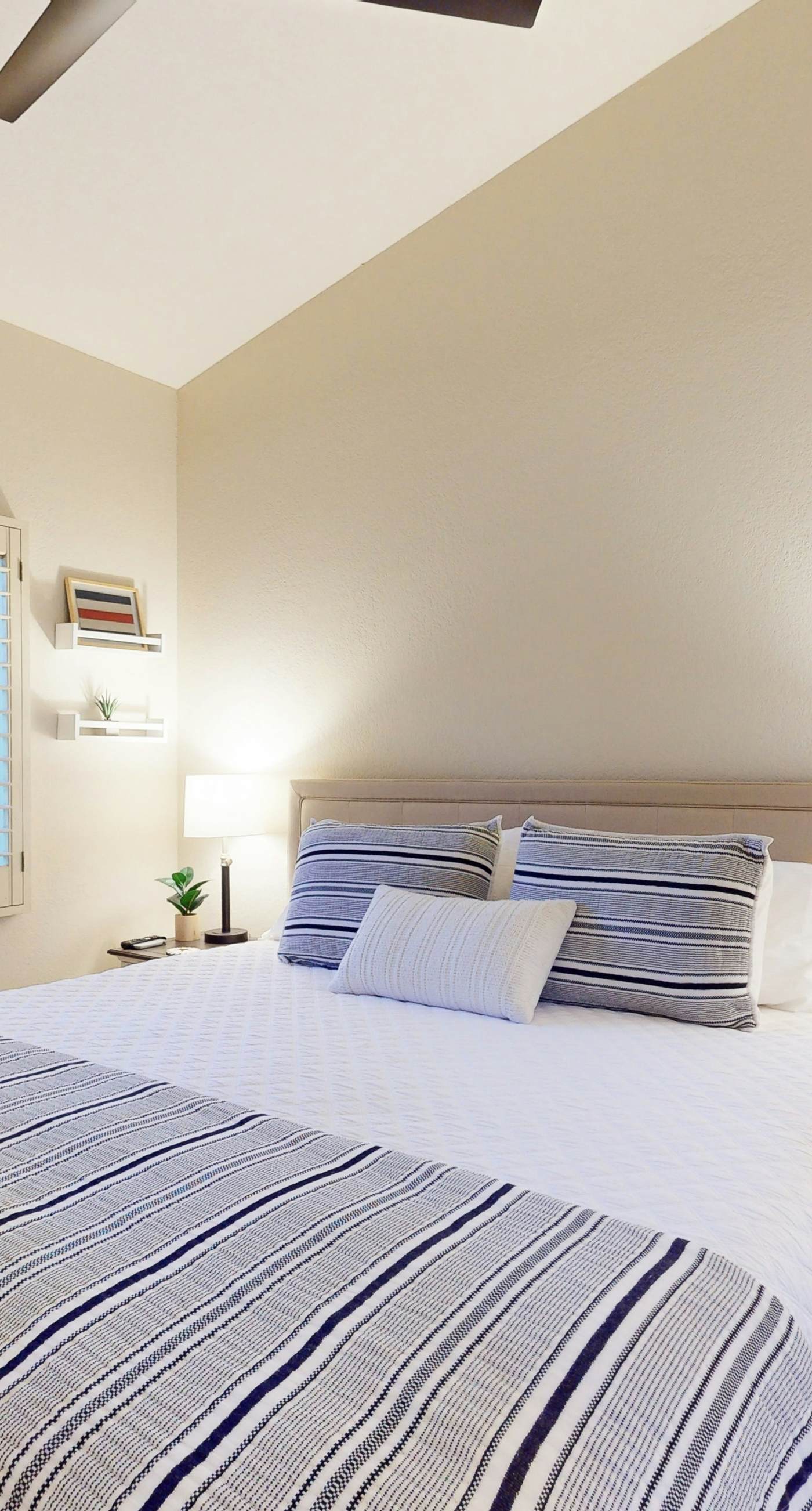 Sun-Kissed in Scottsdale