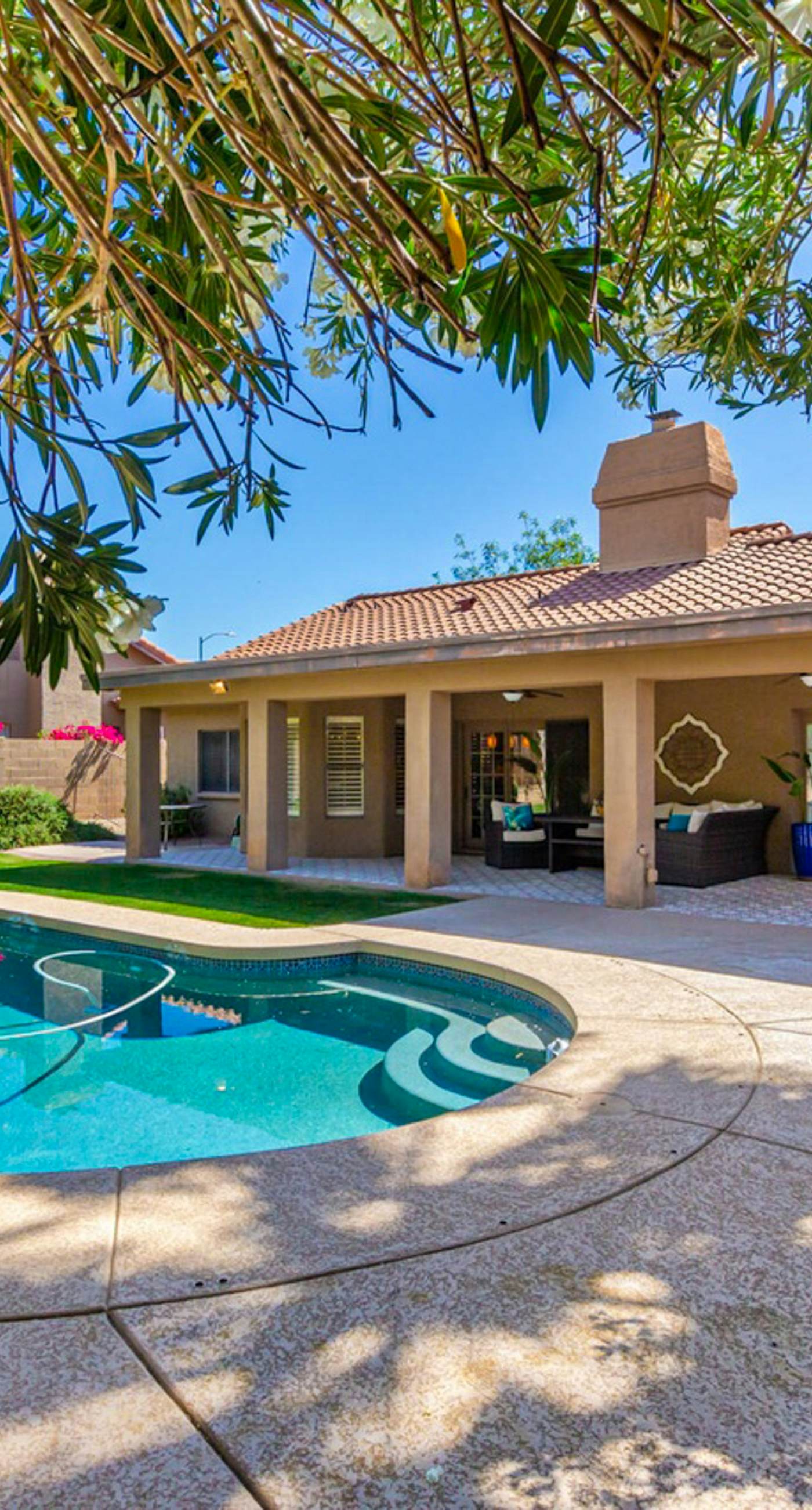 Sun-Kissed in Scottsdale