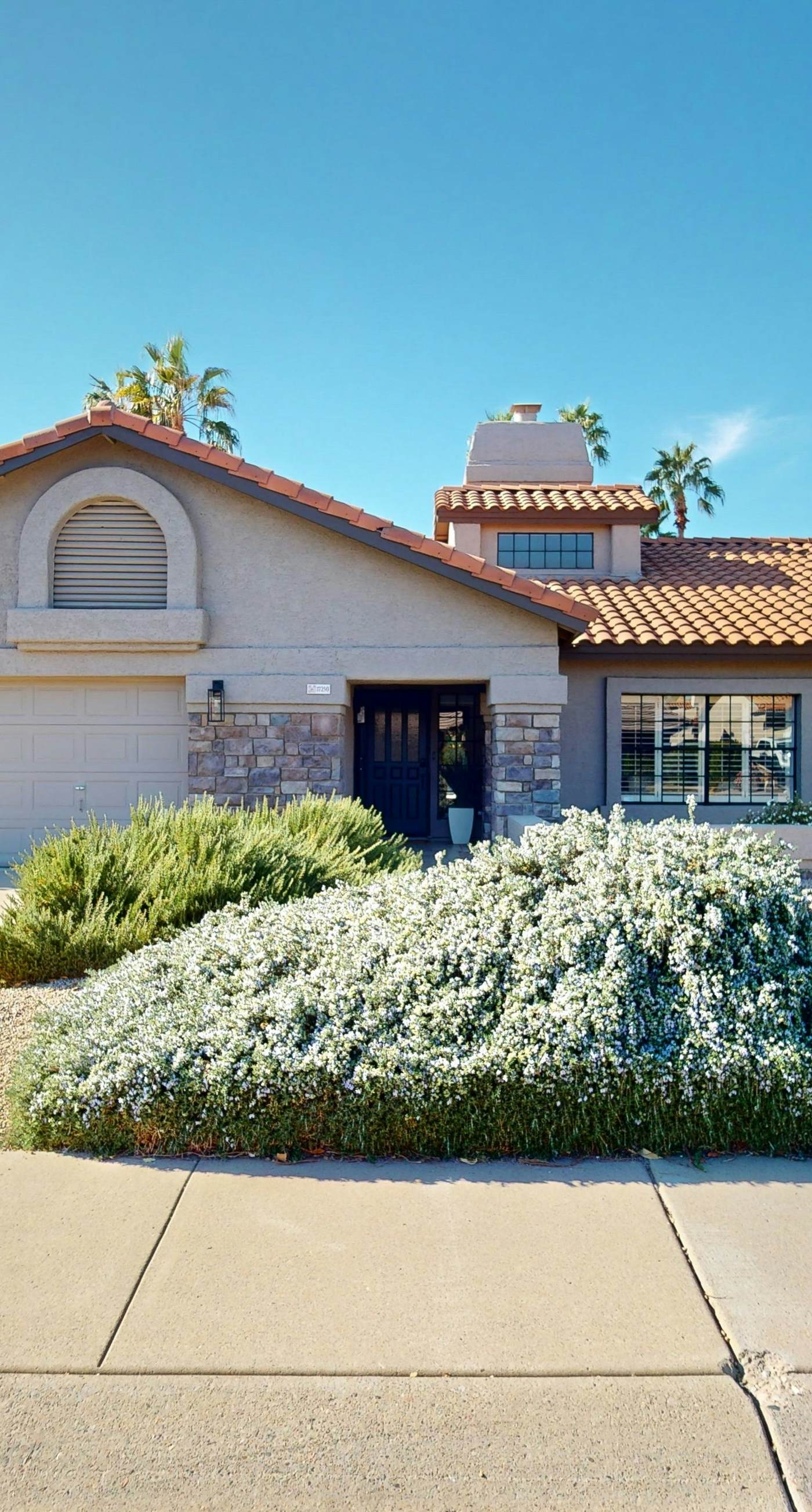 Sun-Kissed in Scottsdale