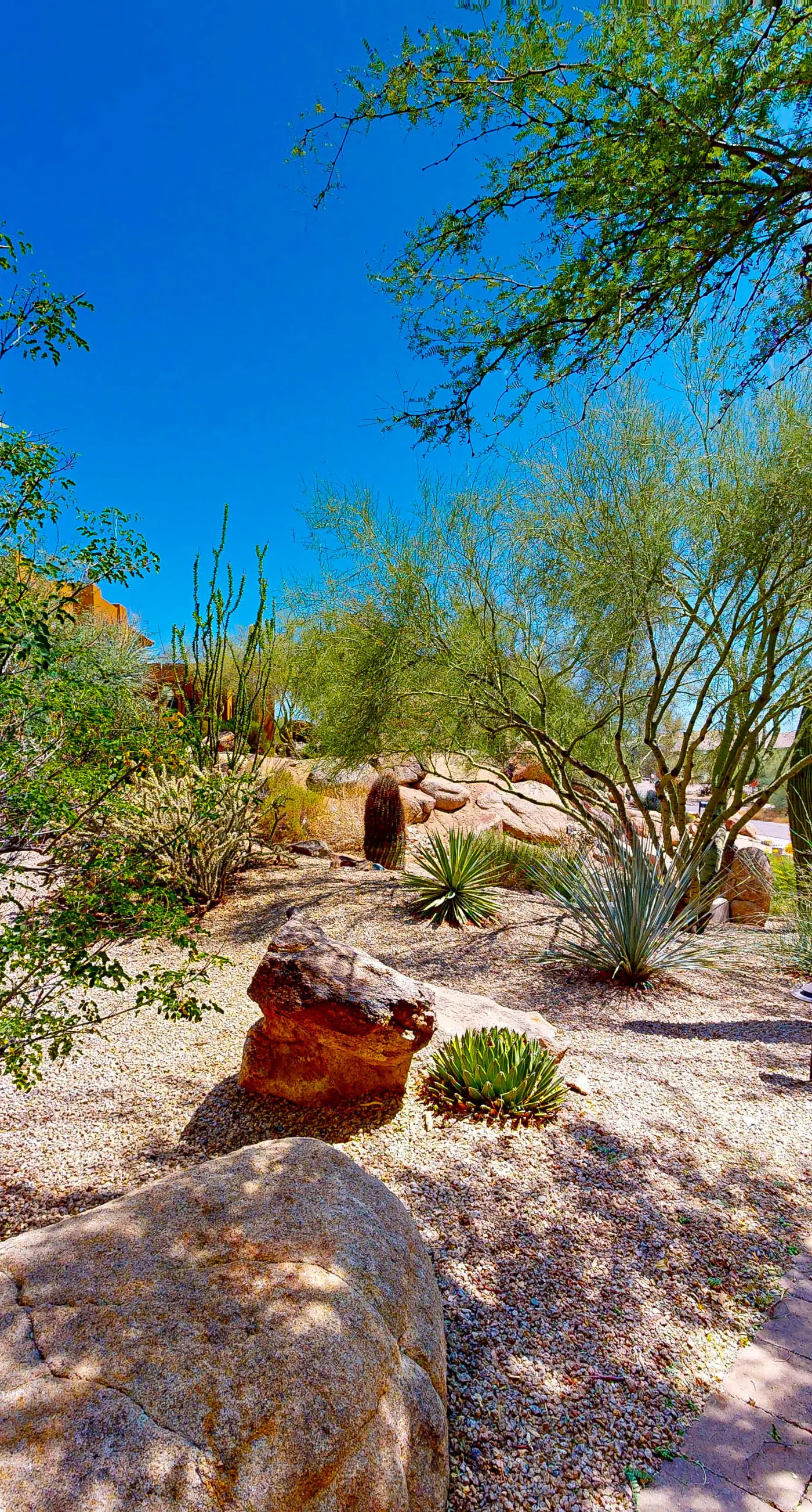 East Horizon Sanctuary