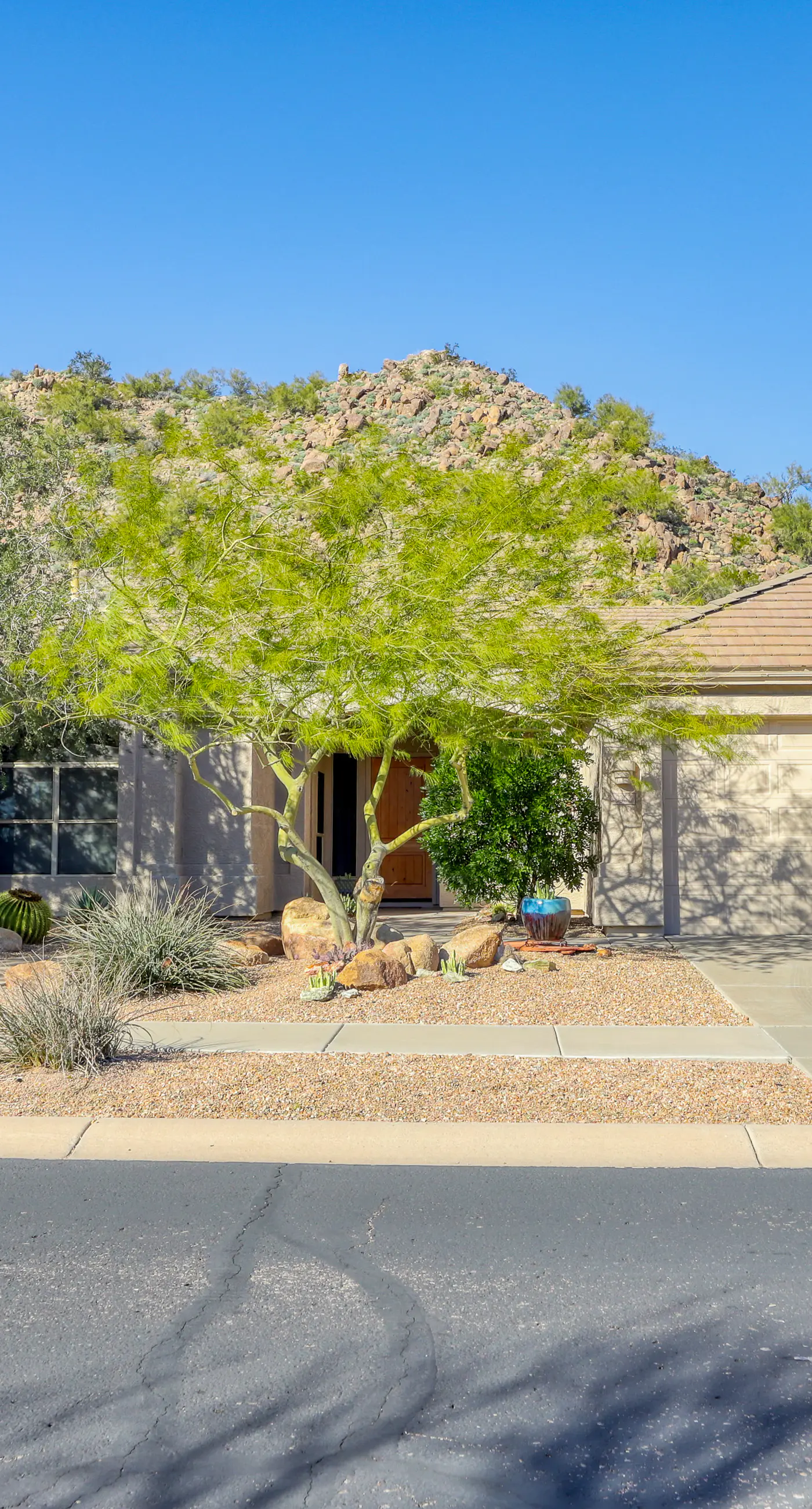 Usery Mountain Oasis