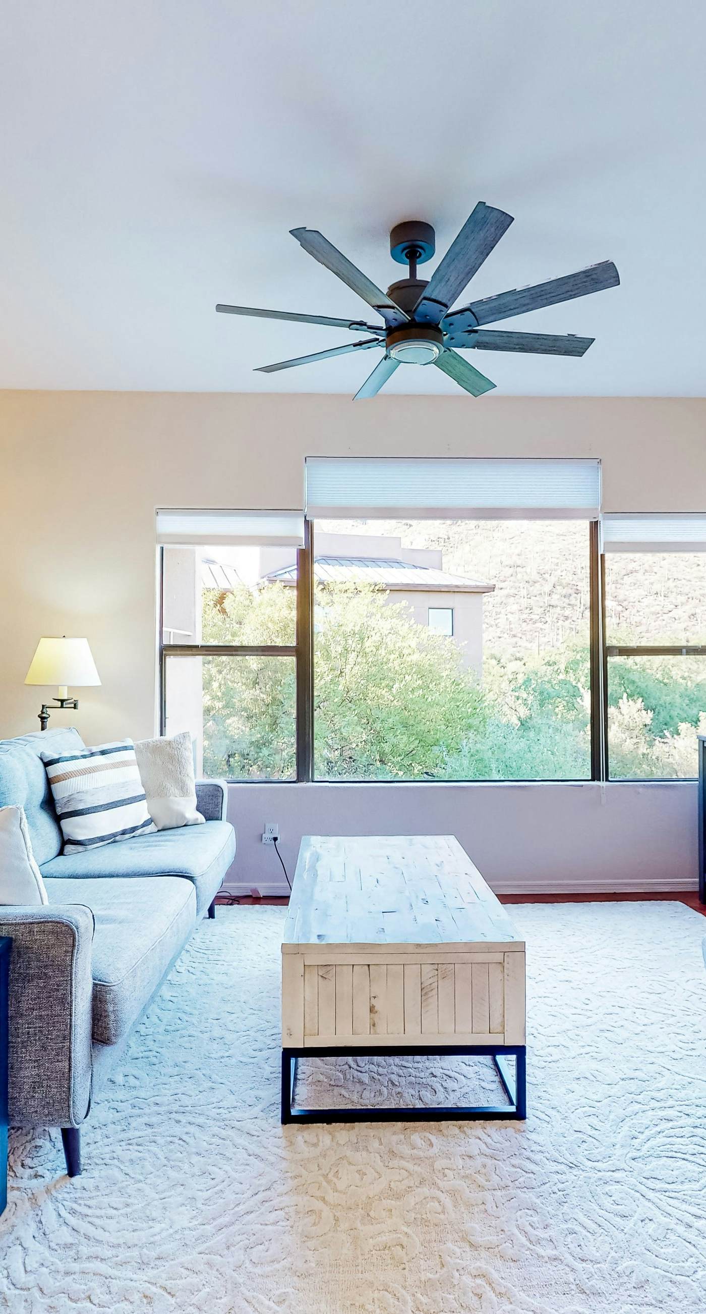 Canyon Views Forever