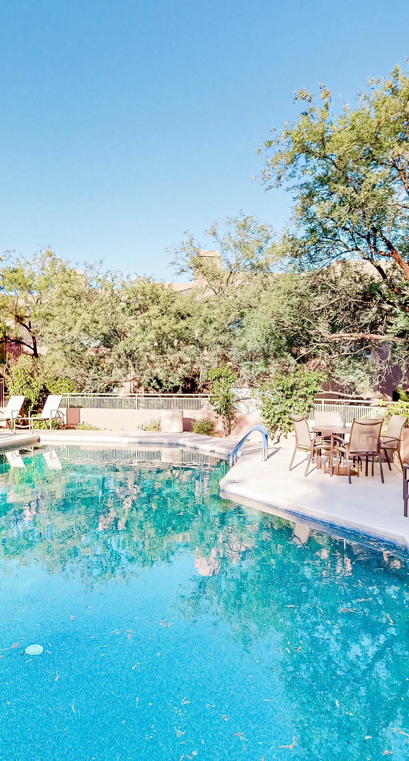 Canyon Views Forever