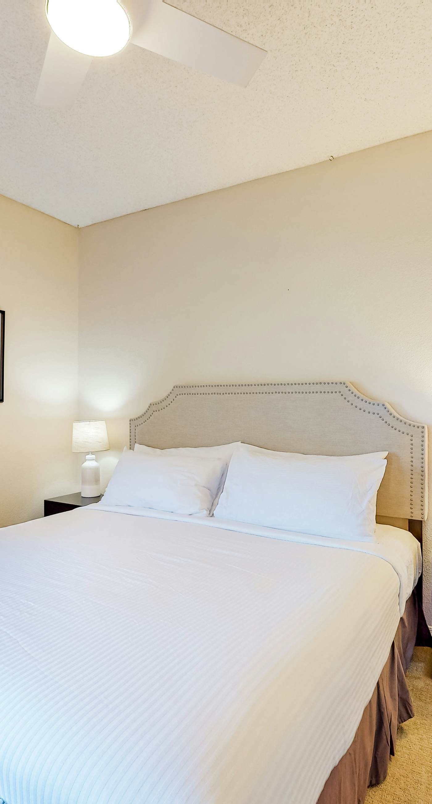 Canyon Views Forever