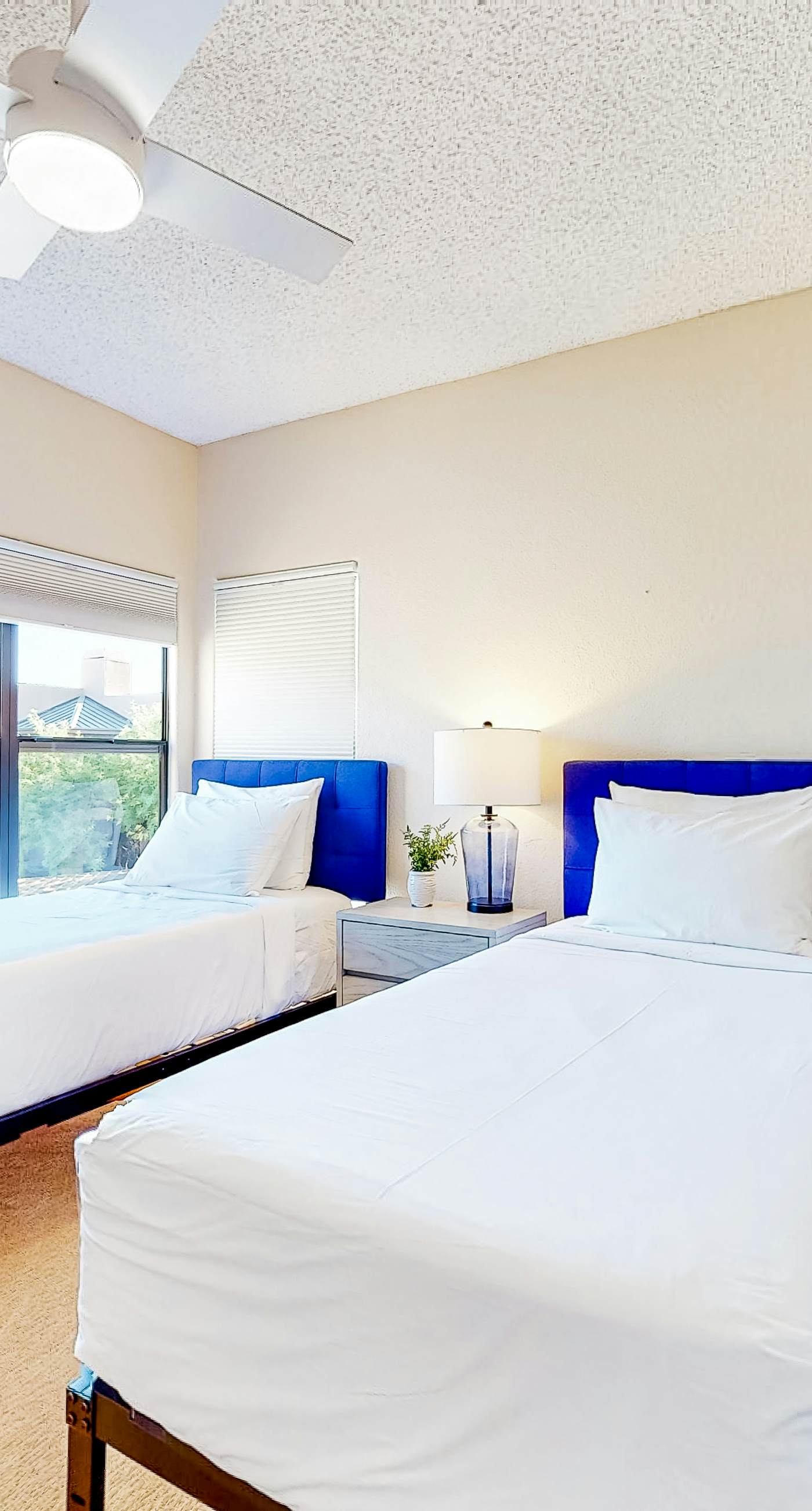 Canyon Views Forever