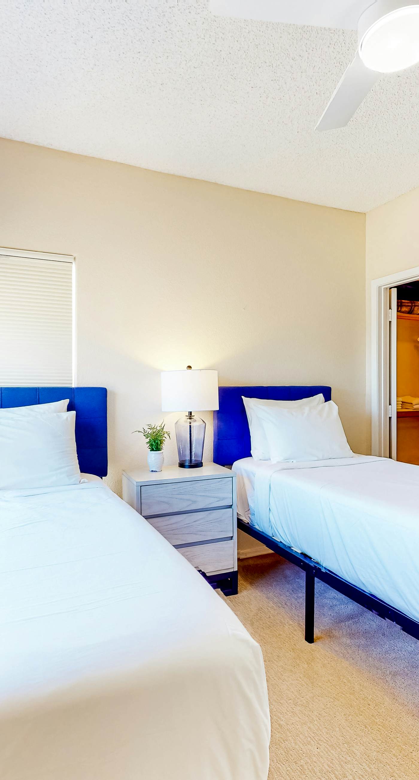 Canyon Views Forever