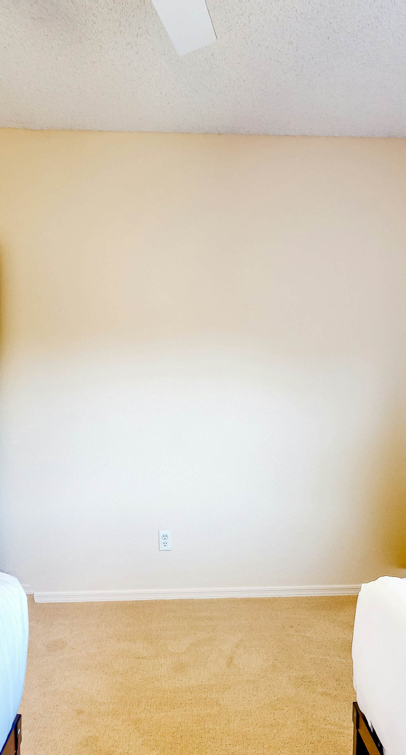 Canyon Views Forever