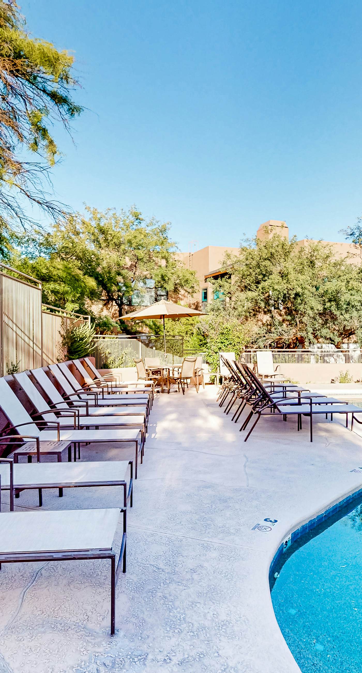 Canyon Views Forever