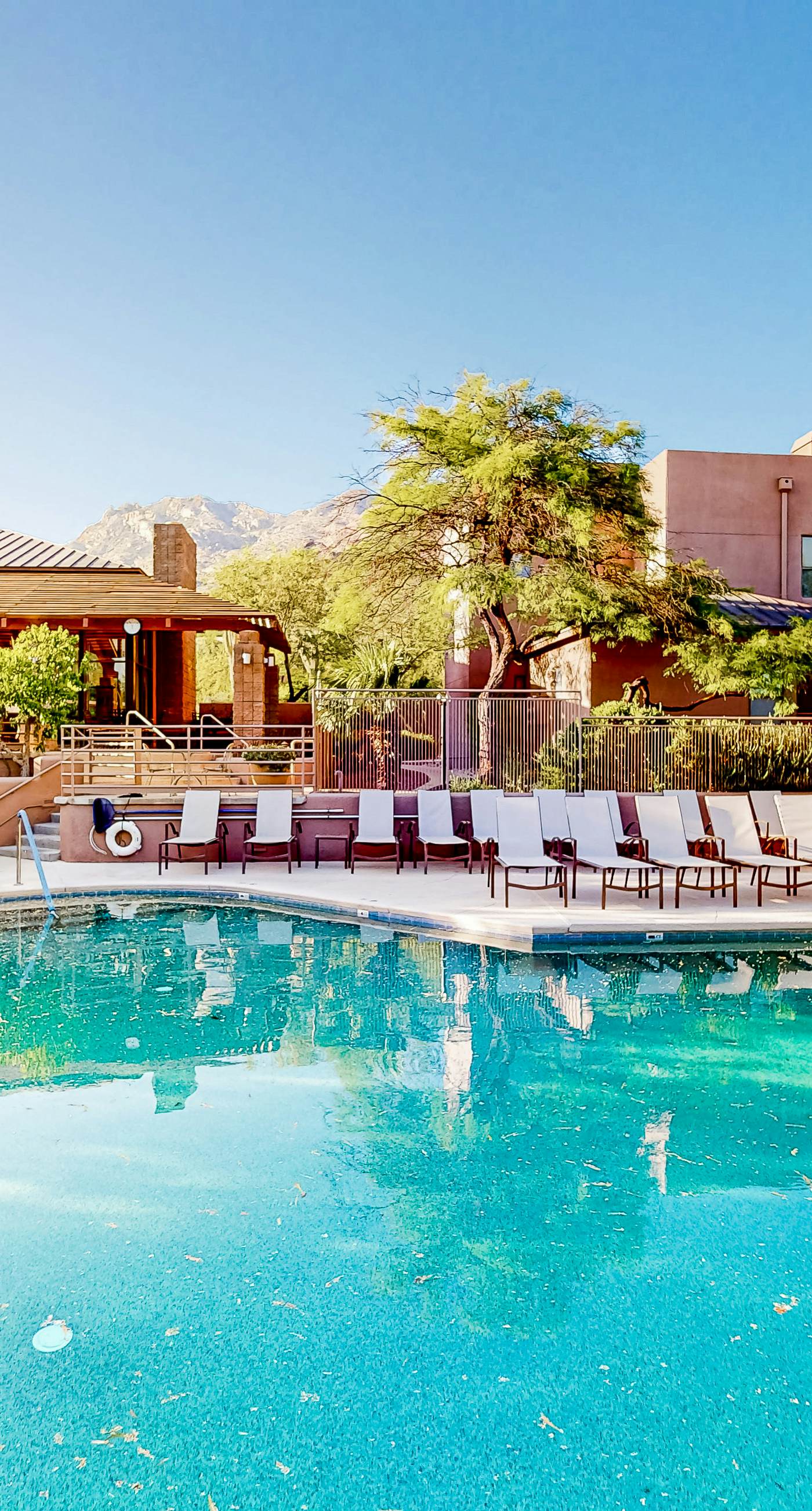 Canyon Views Forever