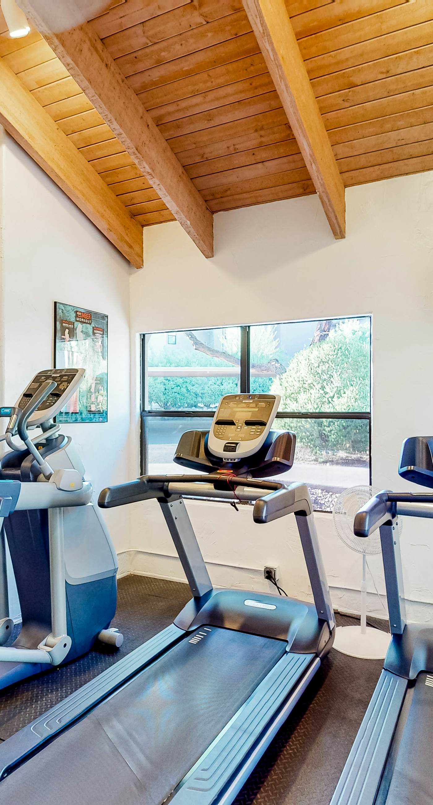 Canyon Views Forever