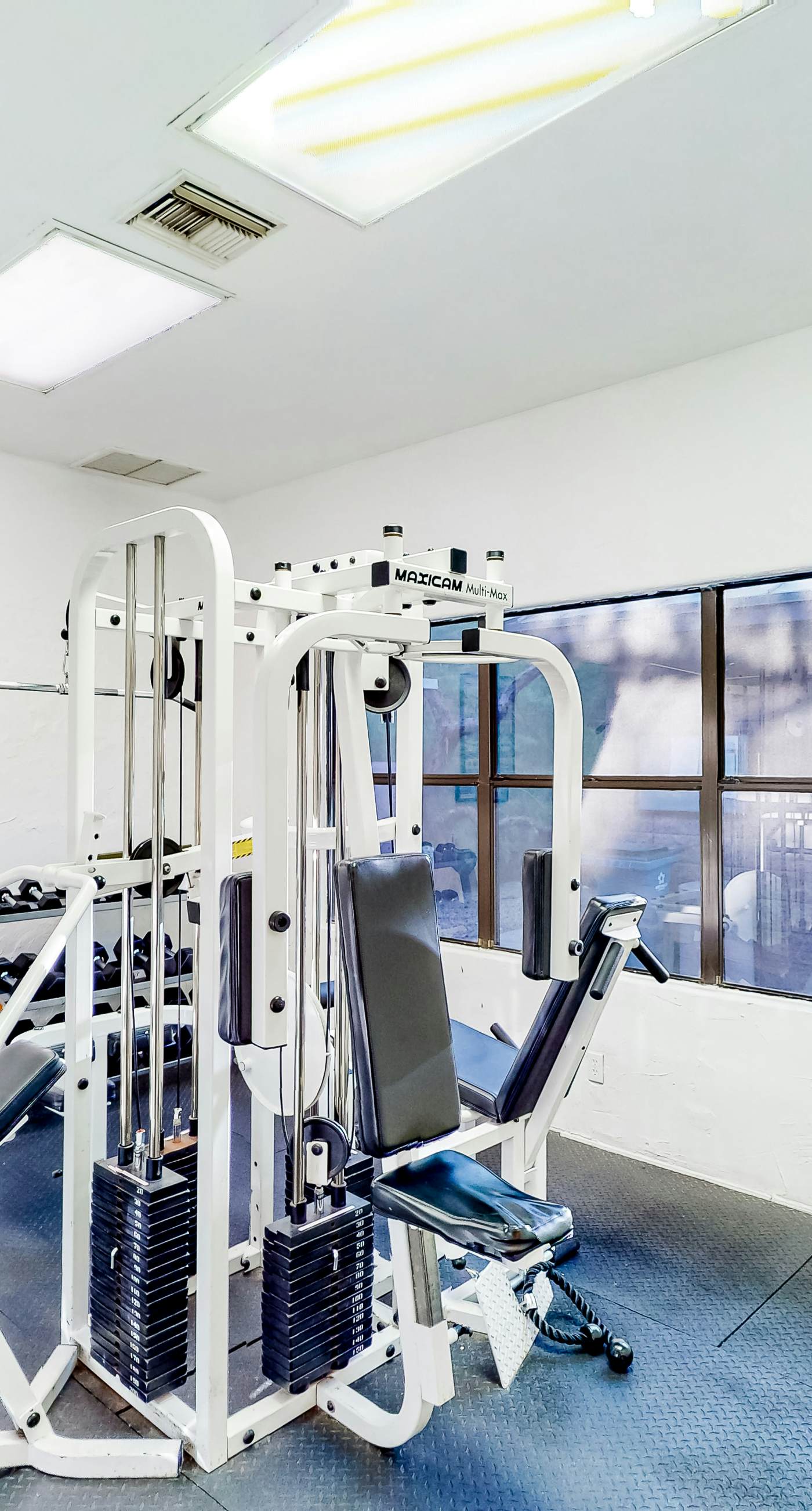 Canyon Views Forever