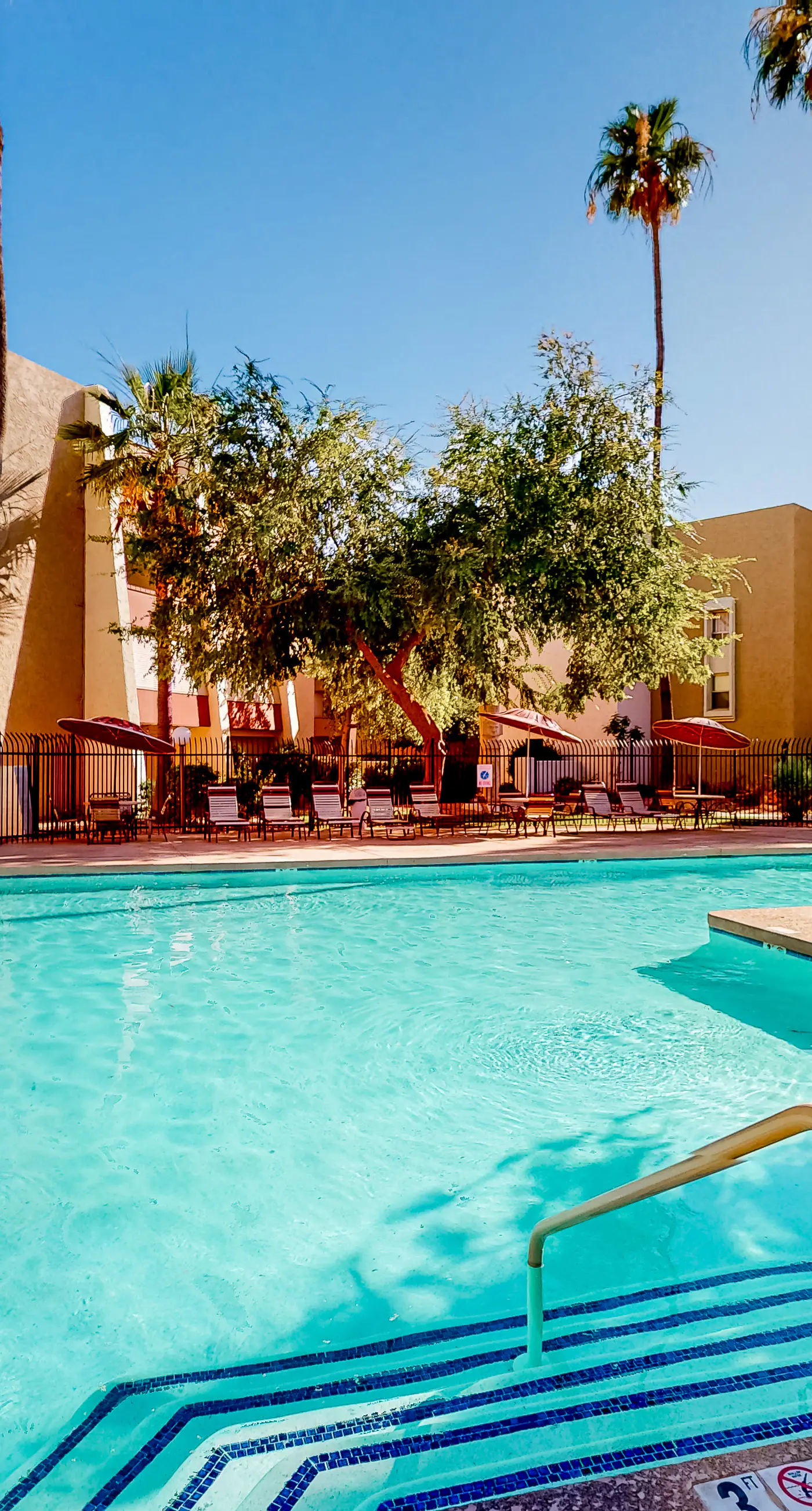 Scottsdale's Stunner