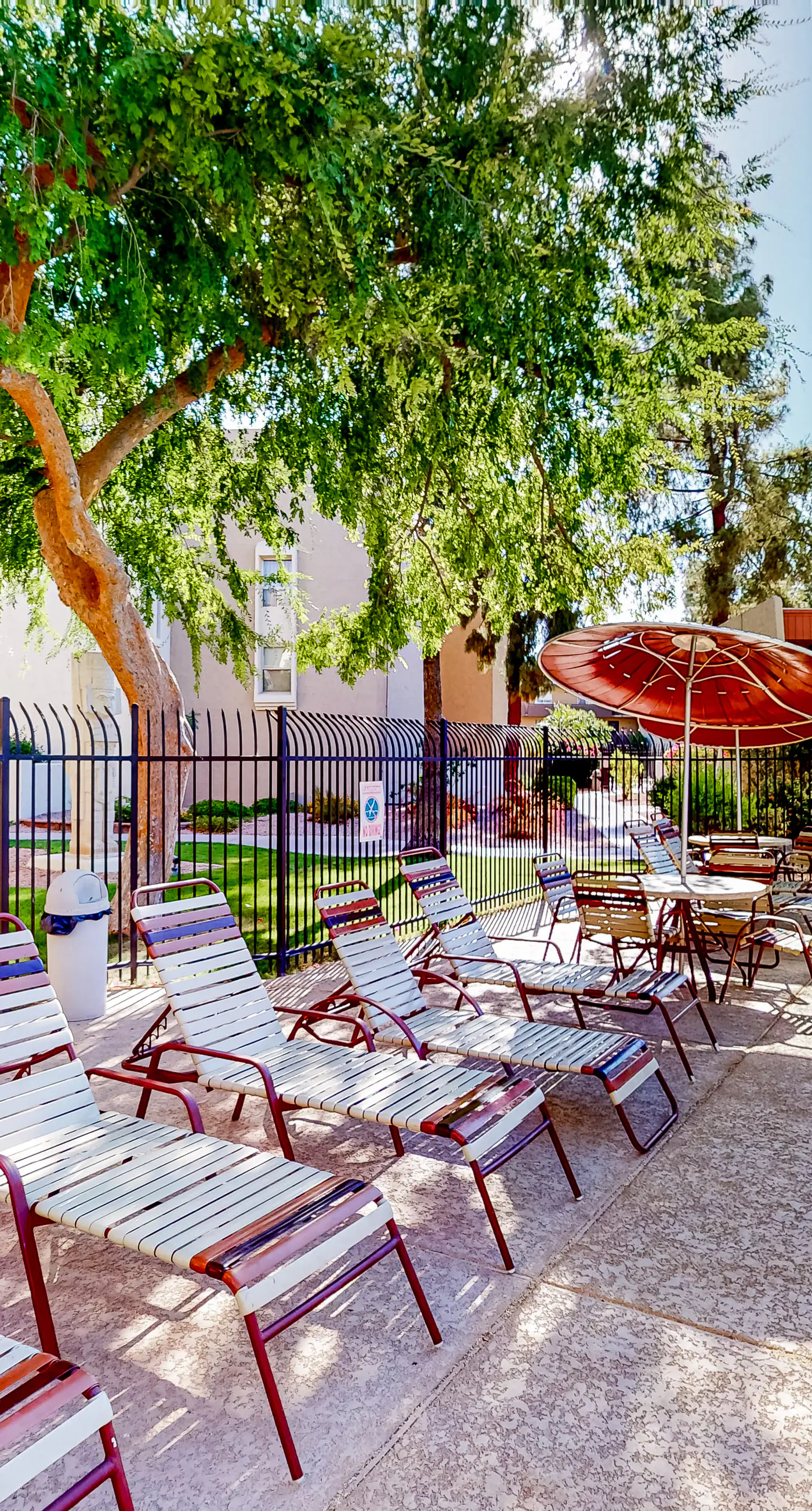 Scottsdale's Stunner