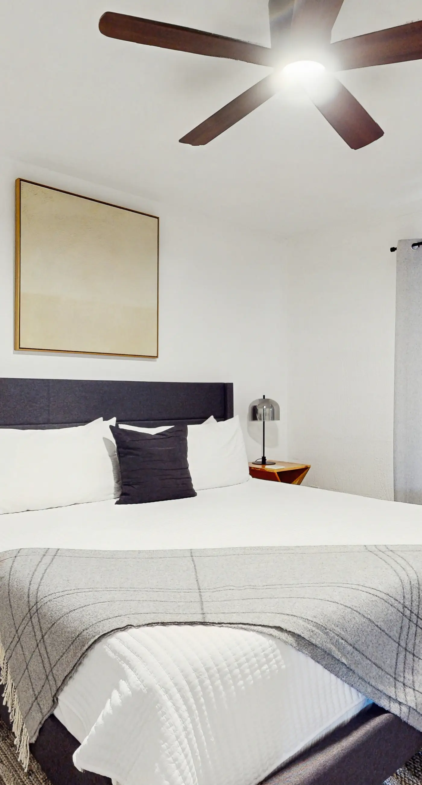 Scottsdale's Stunner