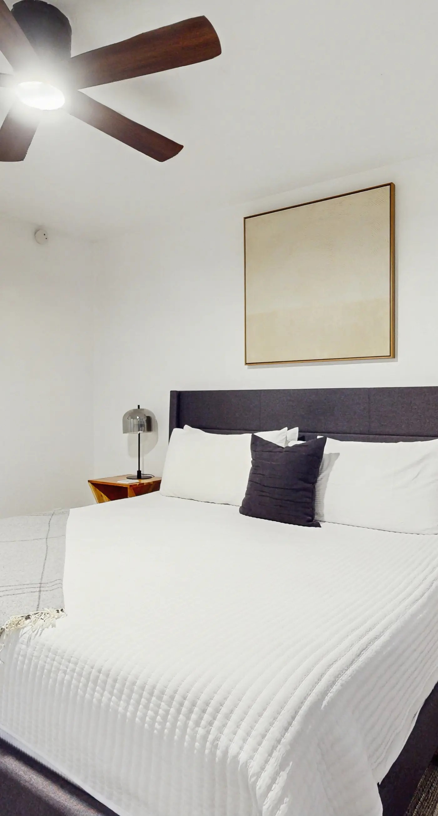 Scottsdale's Stunner