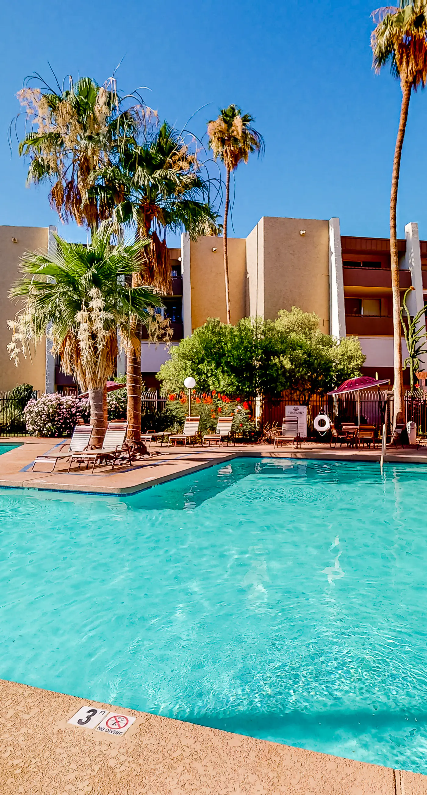 Scottsdale's Stunner