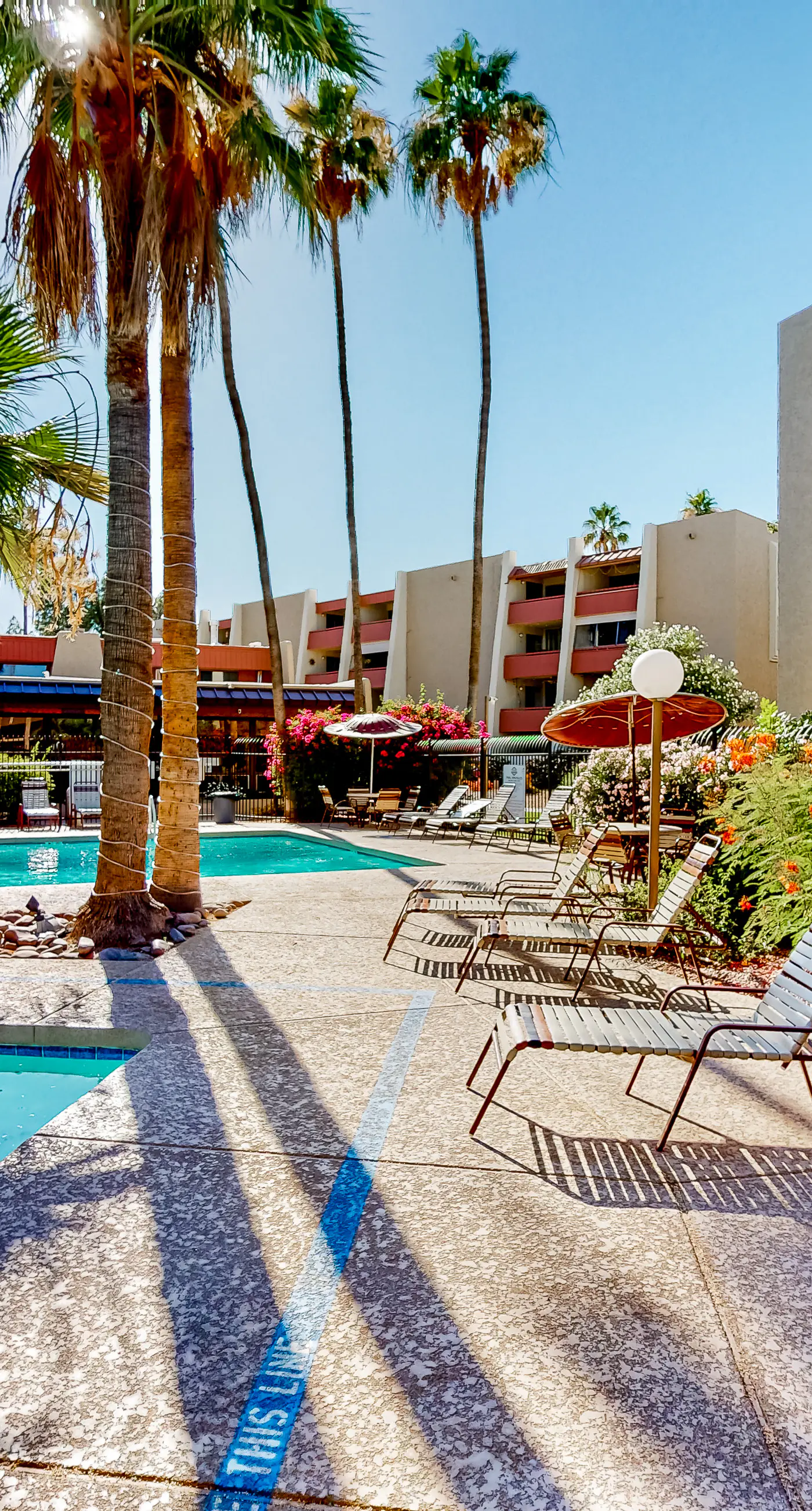 Scottsdale's Stunner