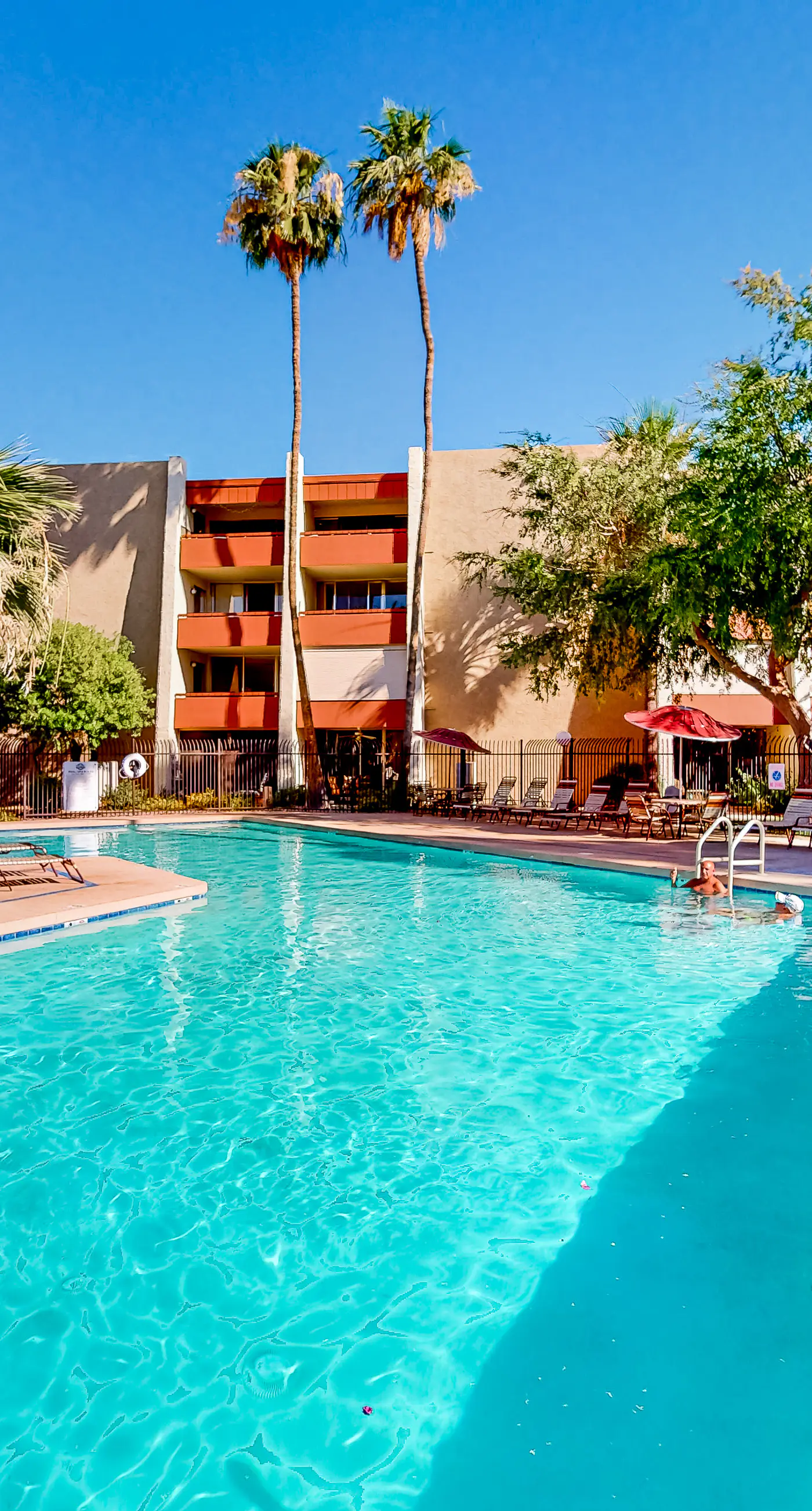 Scottsdale's Stunner