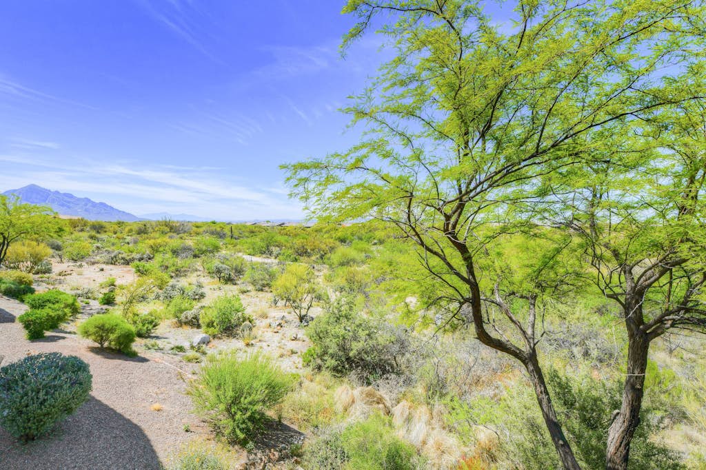 Bright and spacious mountain-view home with pool/hot tub on-site, golfing nearby