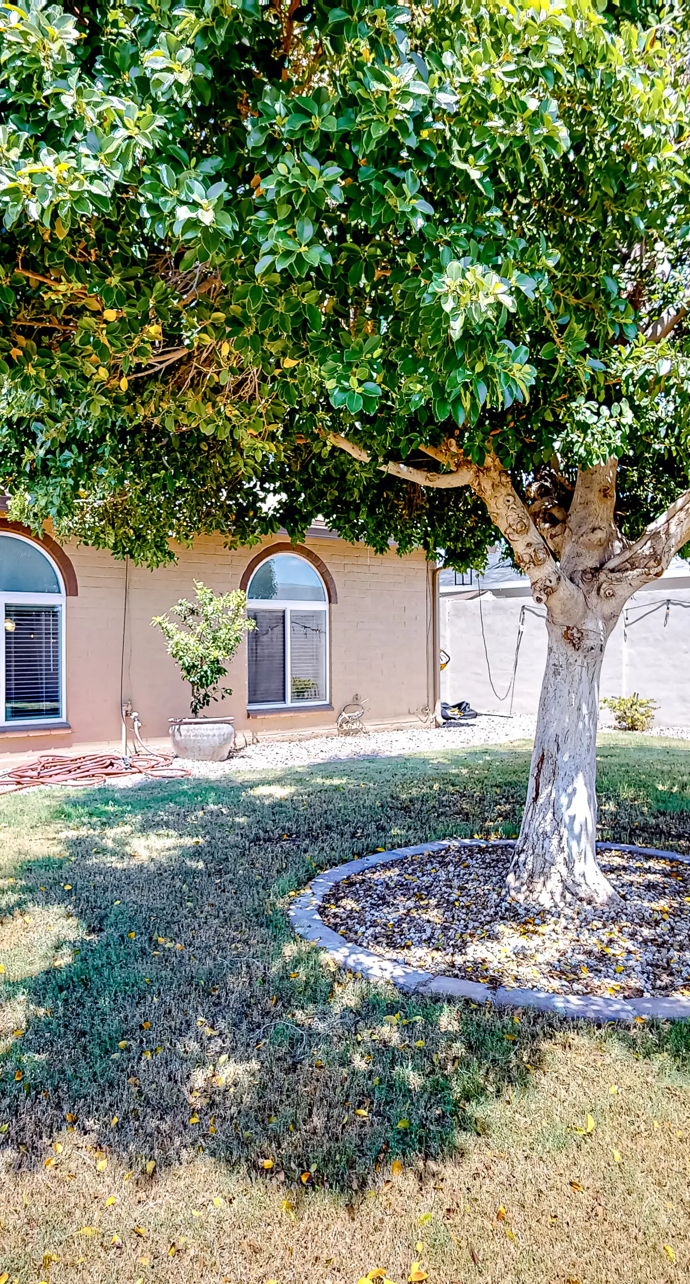 WeeCasa-Poolside Paradise