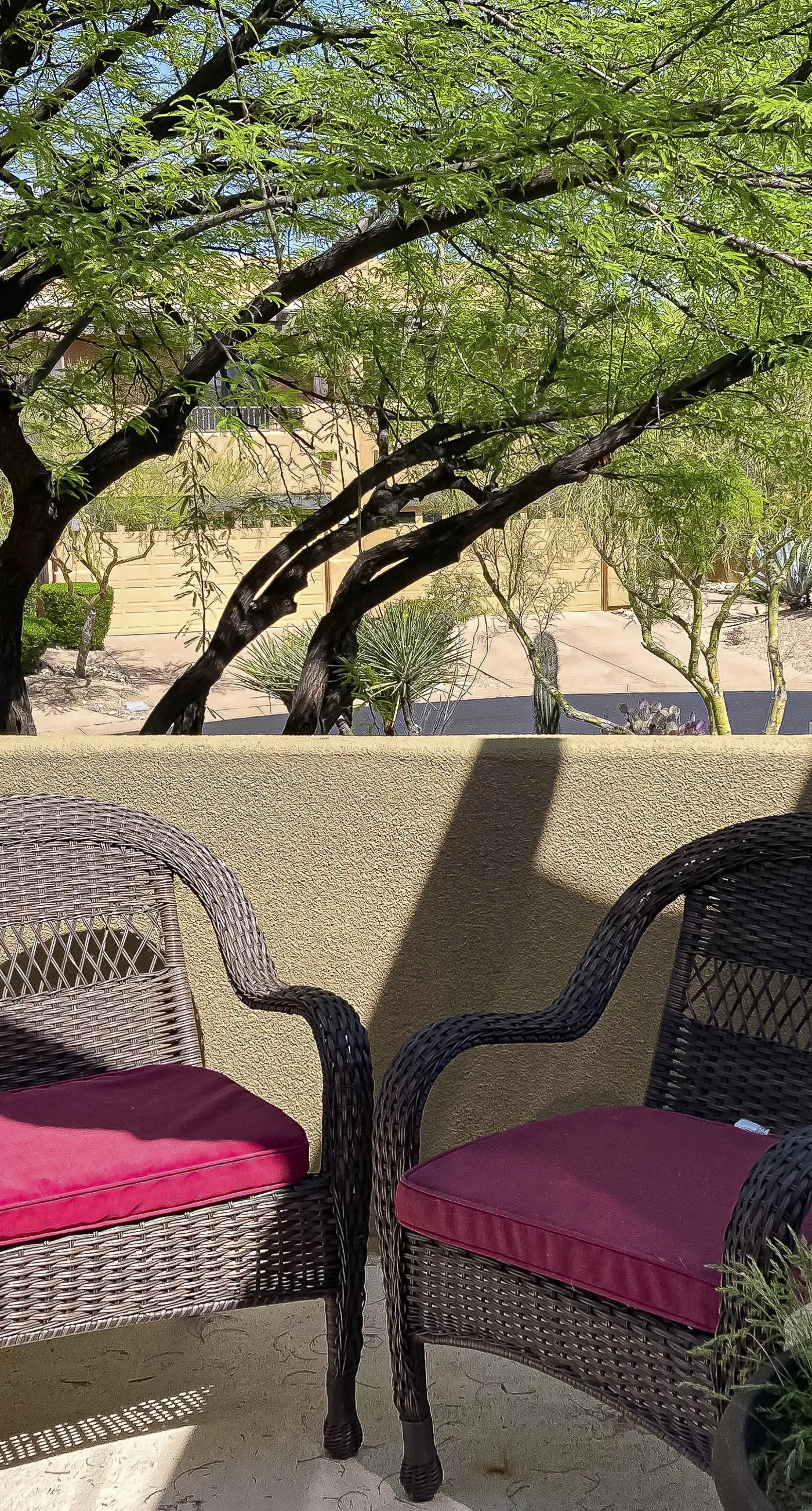 Desert Lullaby