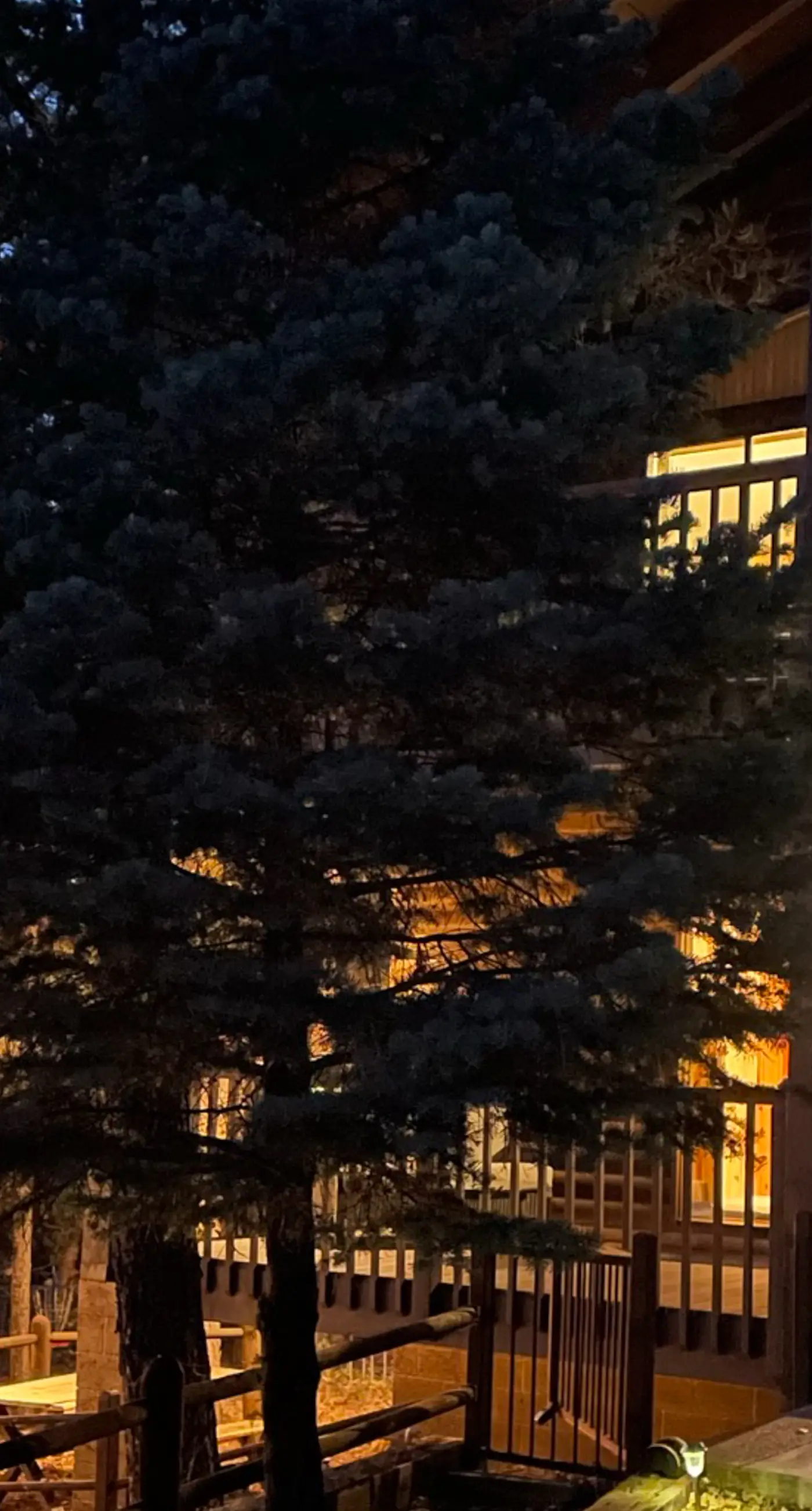 Double Decker at White Mountain