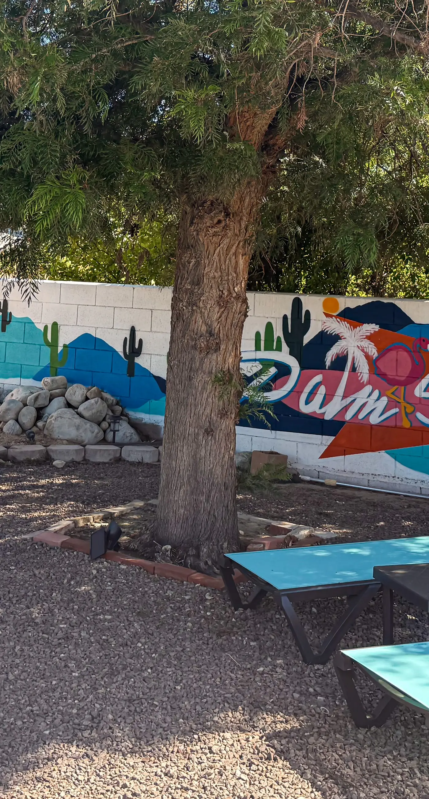 Hummingbird Haven - 68776
