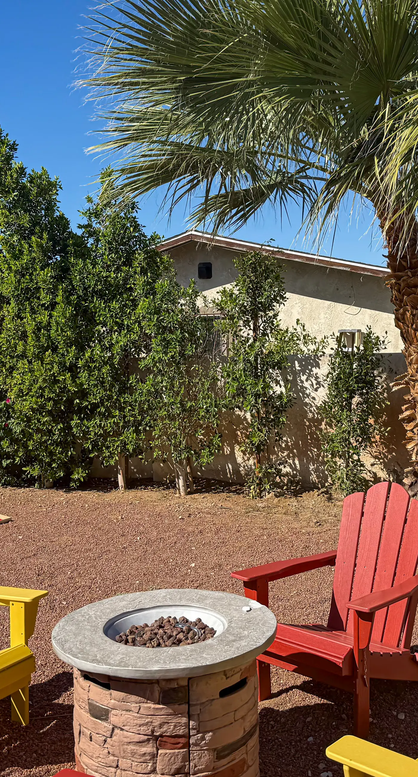 Hummingbird Haven - 68776