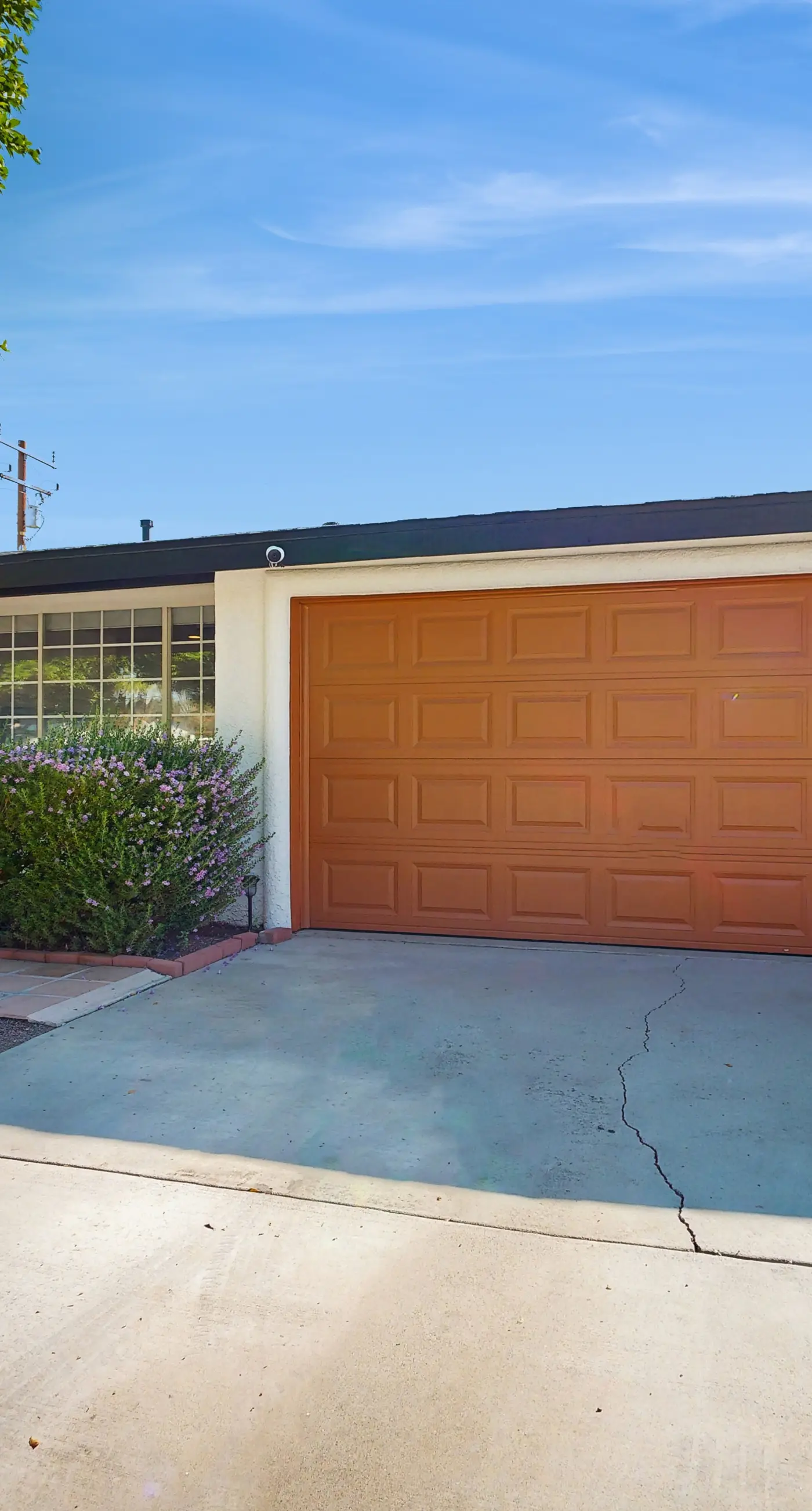 Hummingbird Haven - 68776