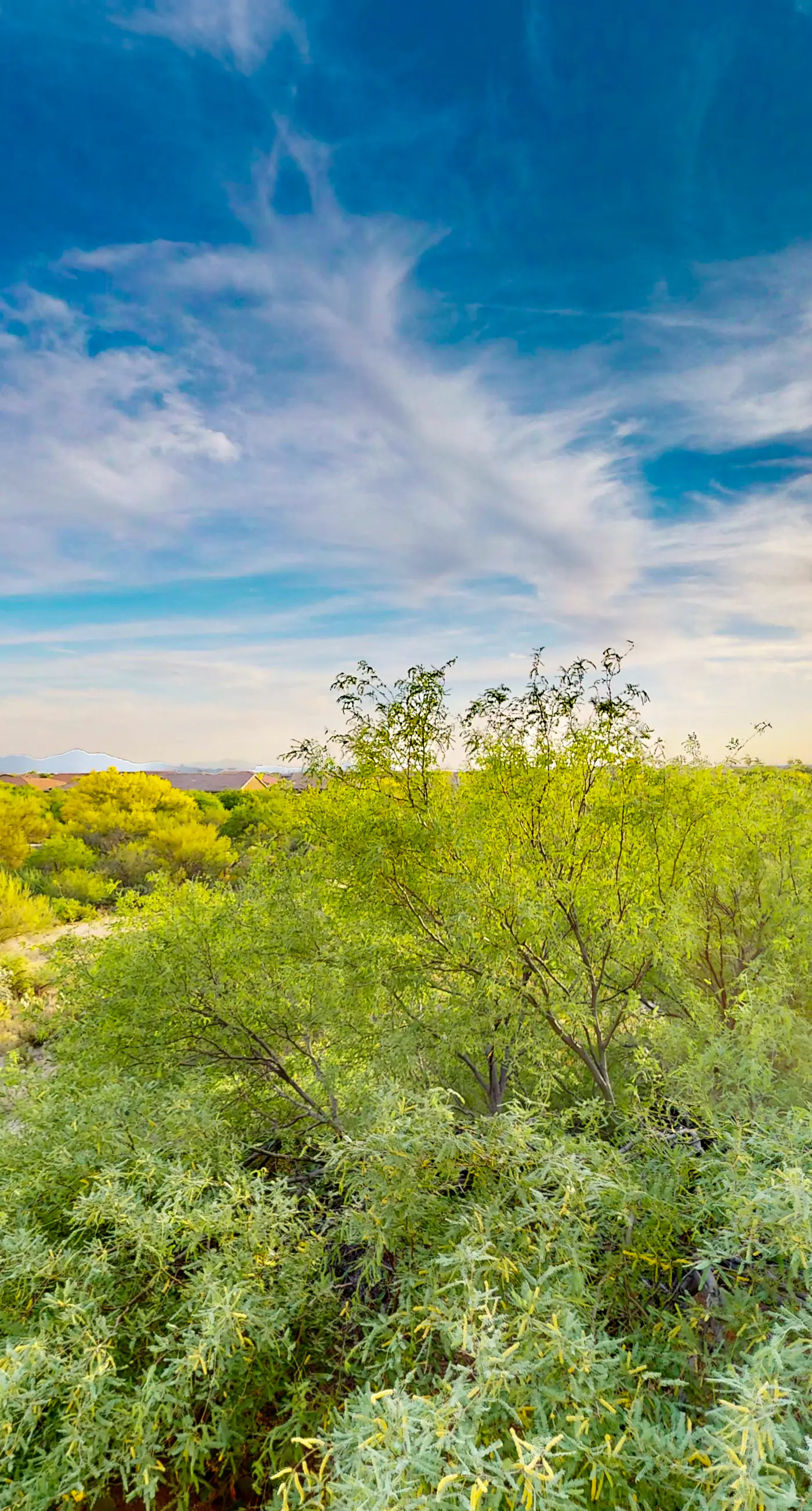 Vistoso Preserve Casita #209B