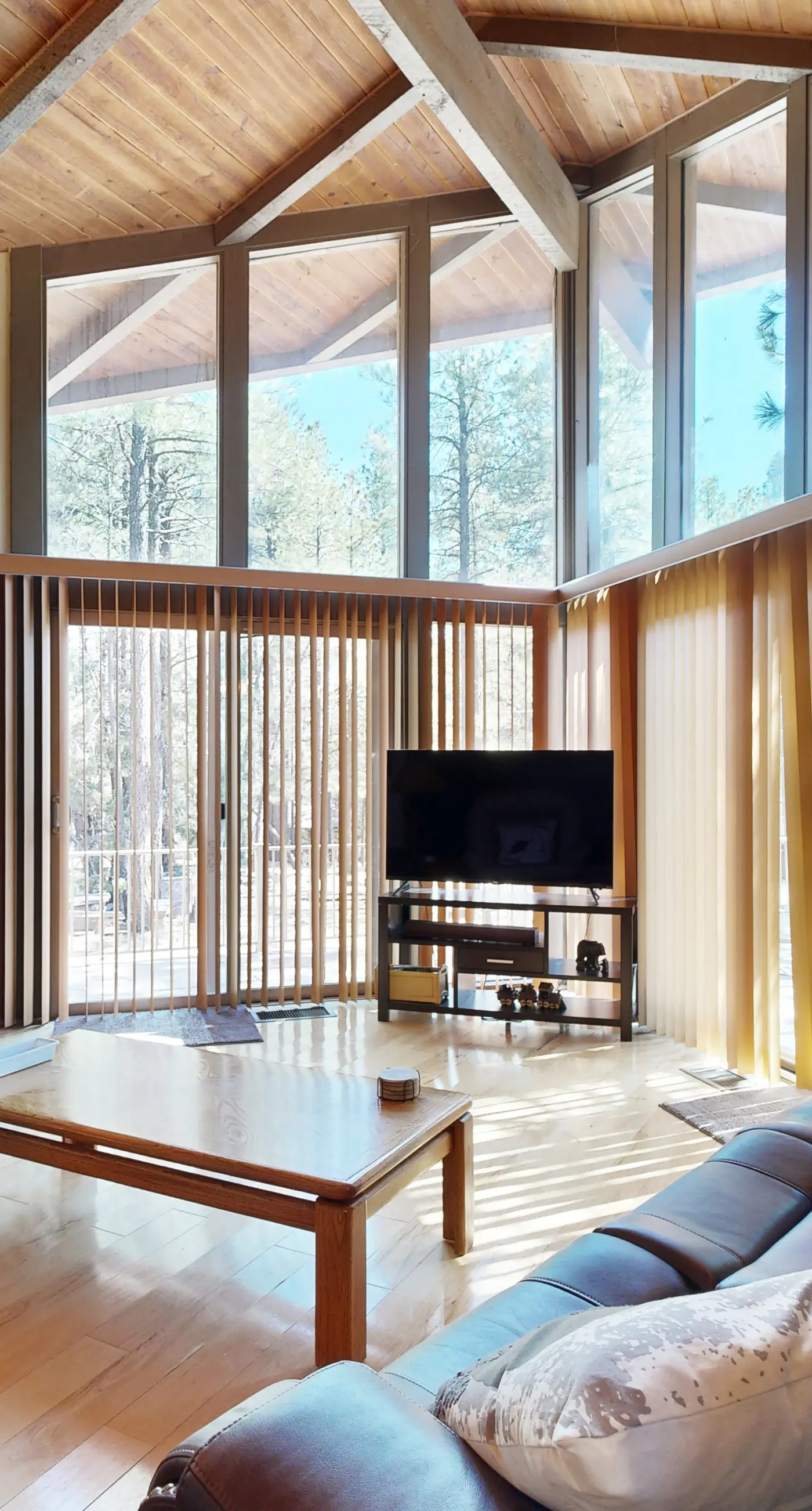Home in the Pines