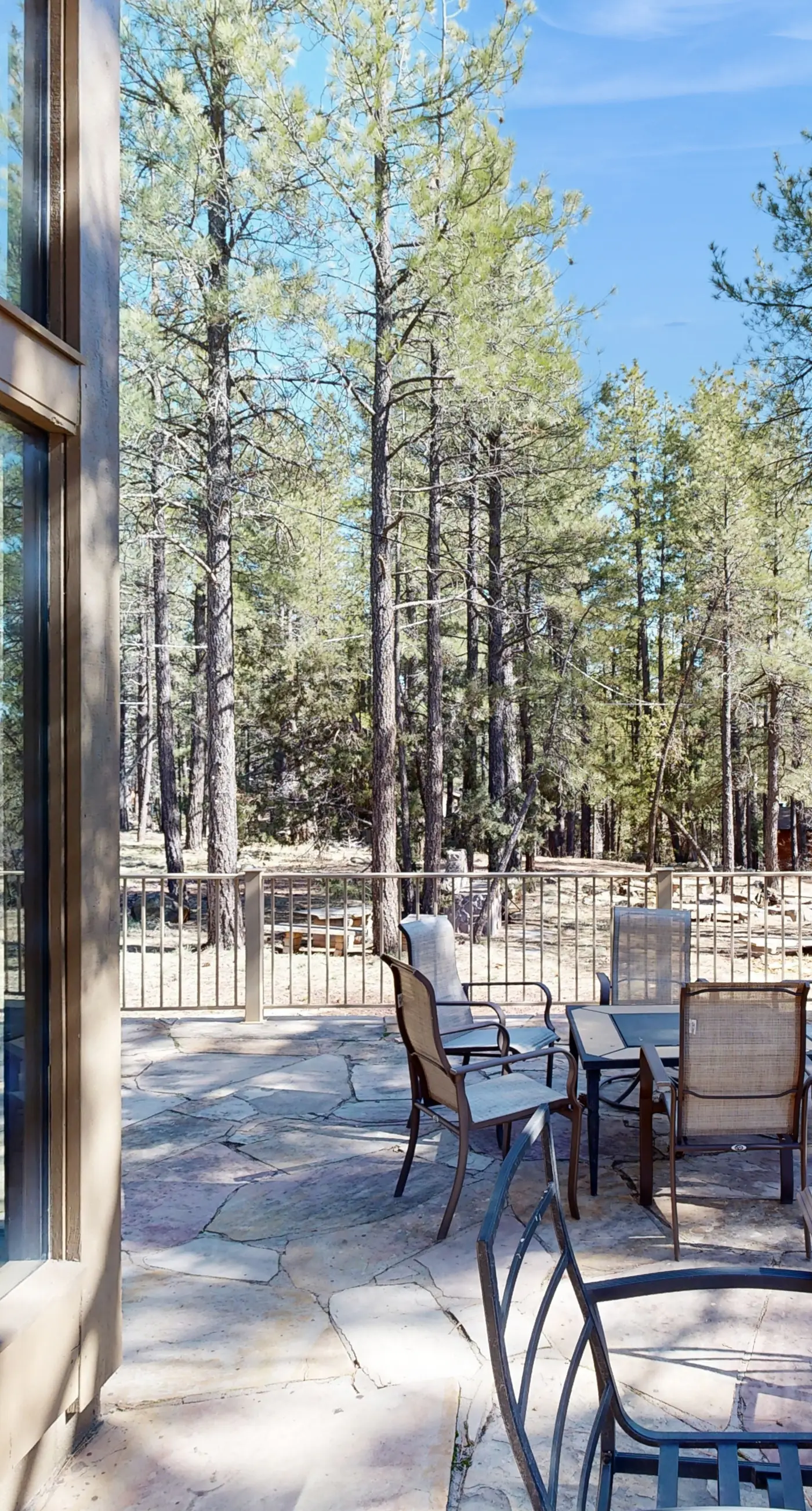 Home in the Pines