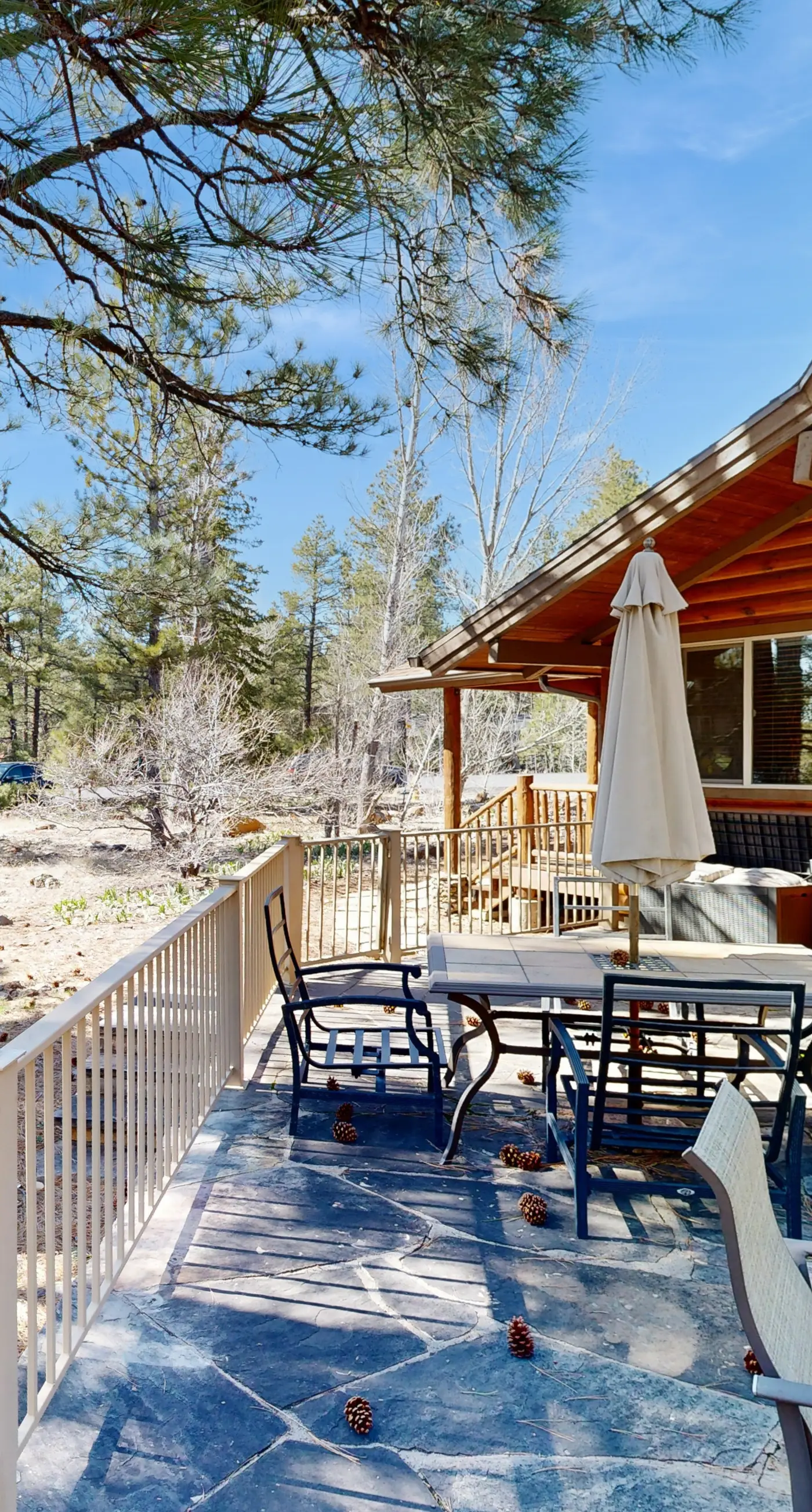 Home in the Pines