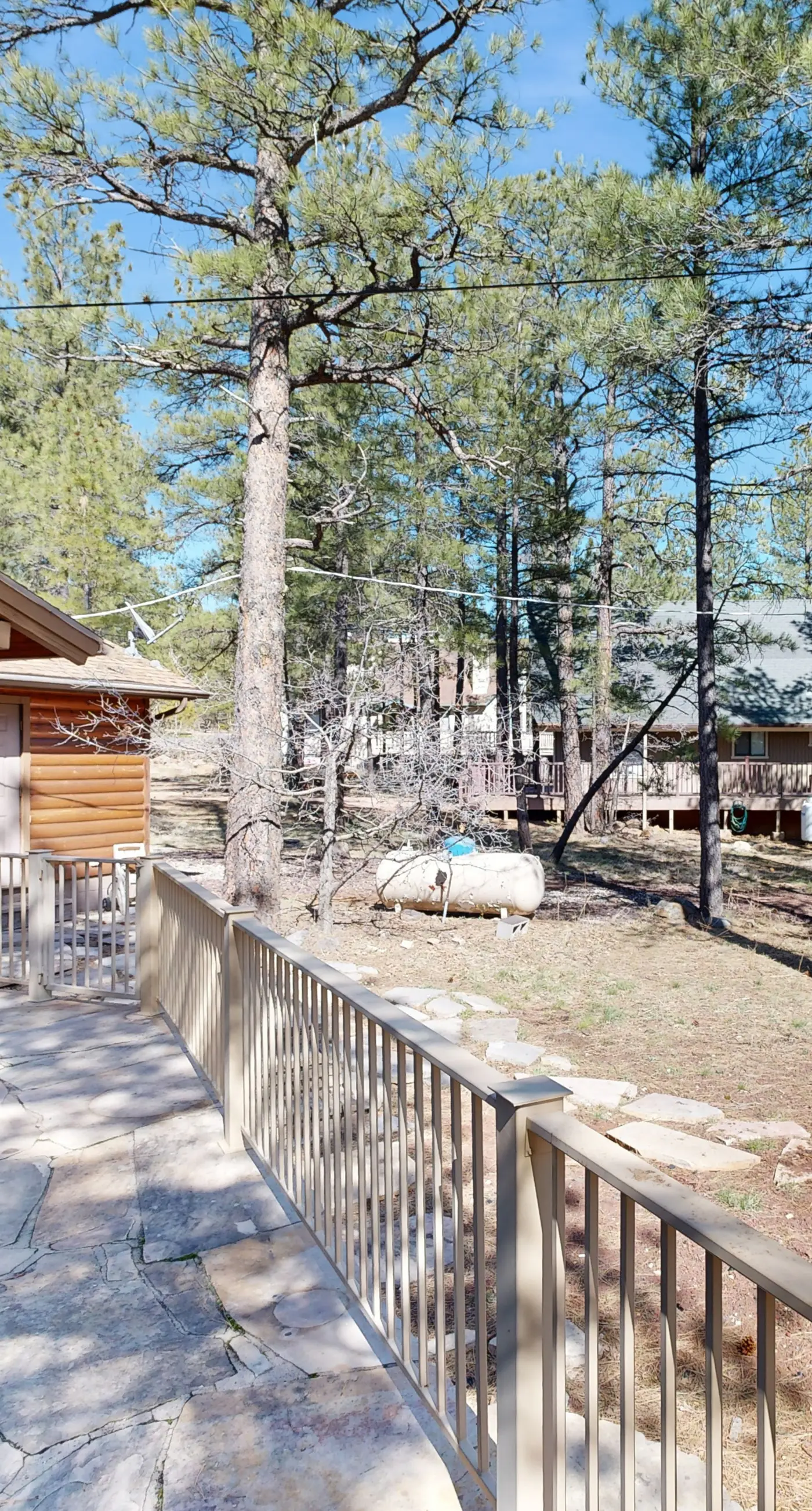 Home in the Pines