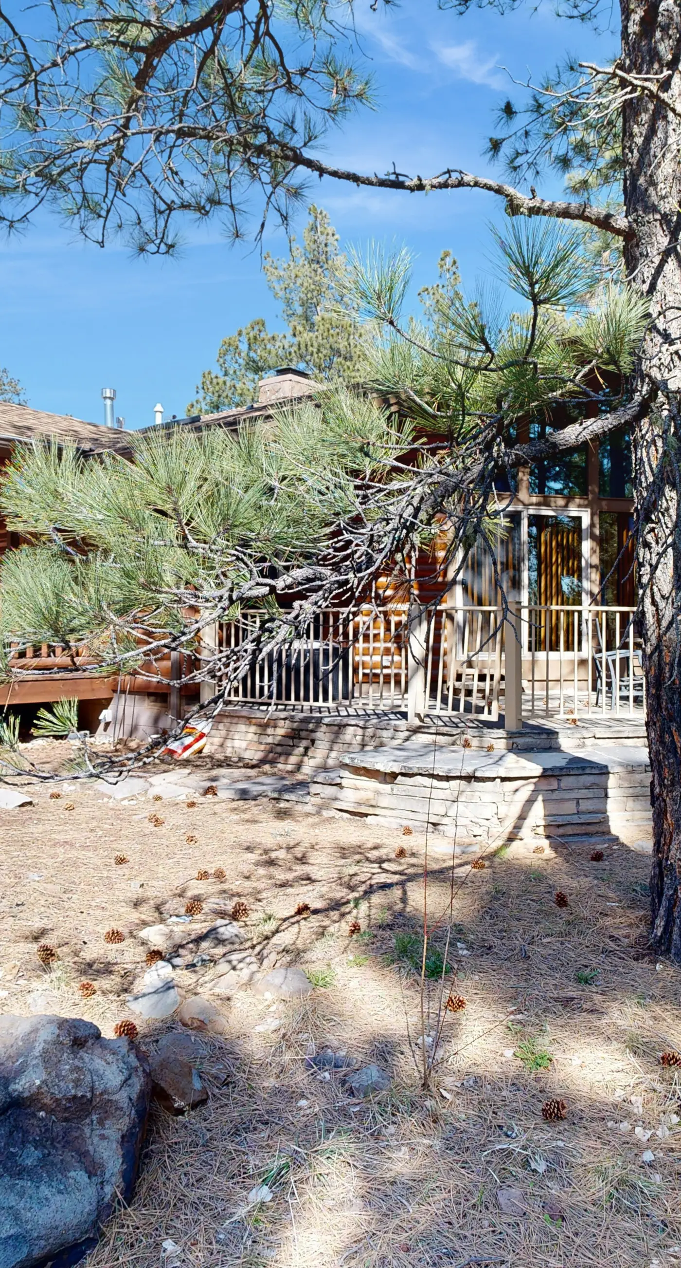 Home in the Pines