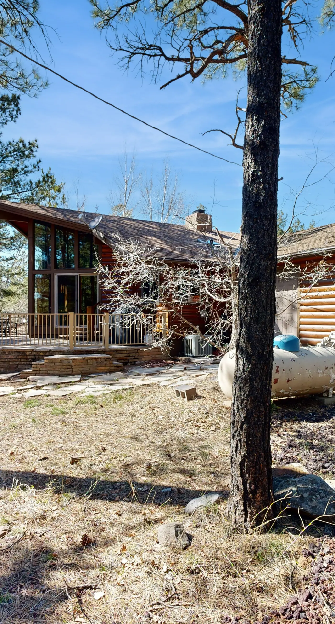 Home in the Pines