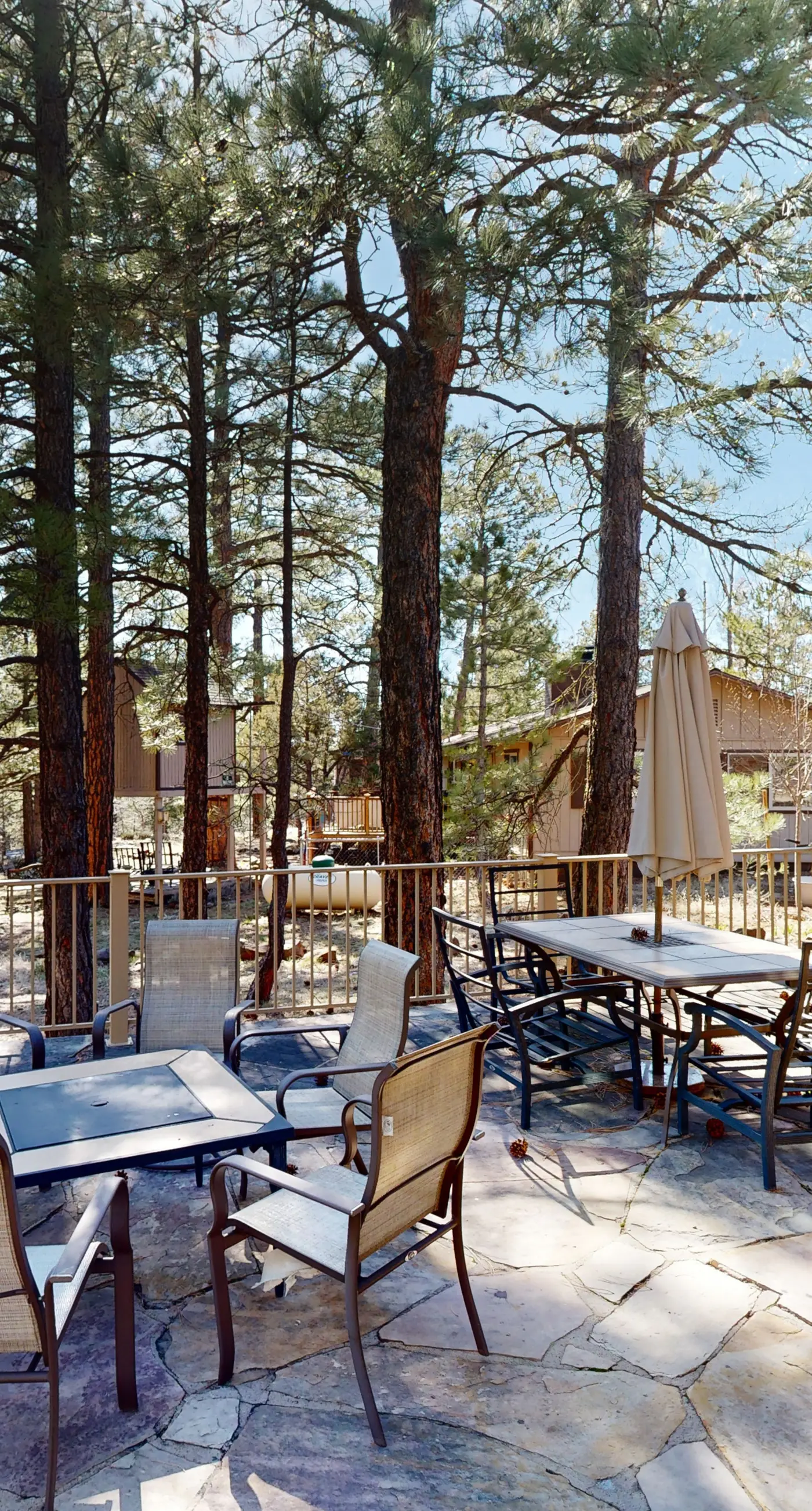 Home in the Pines