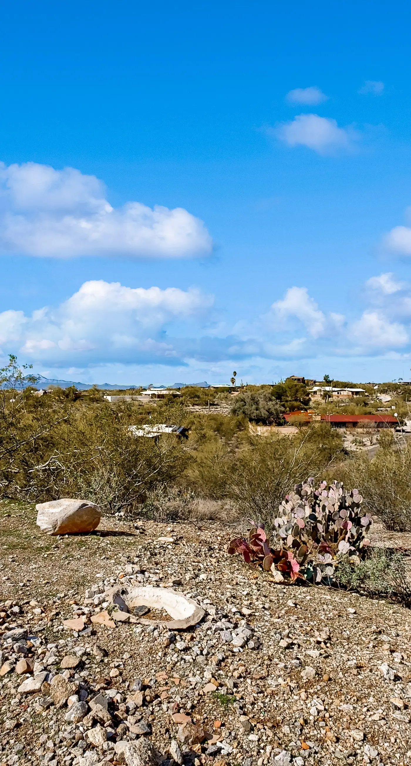 Sierra Vista