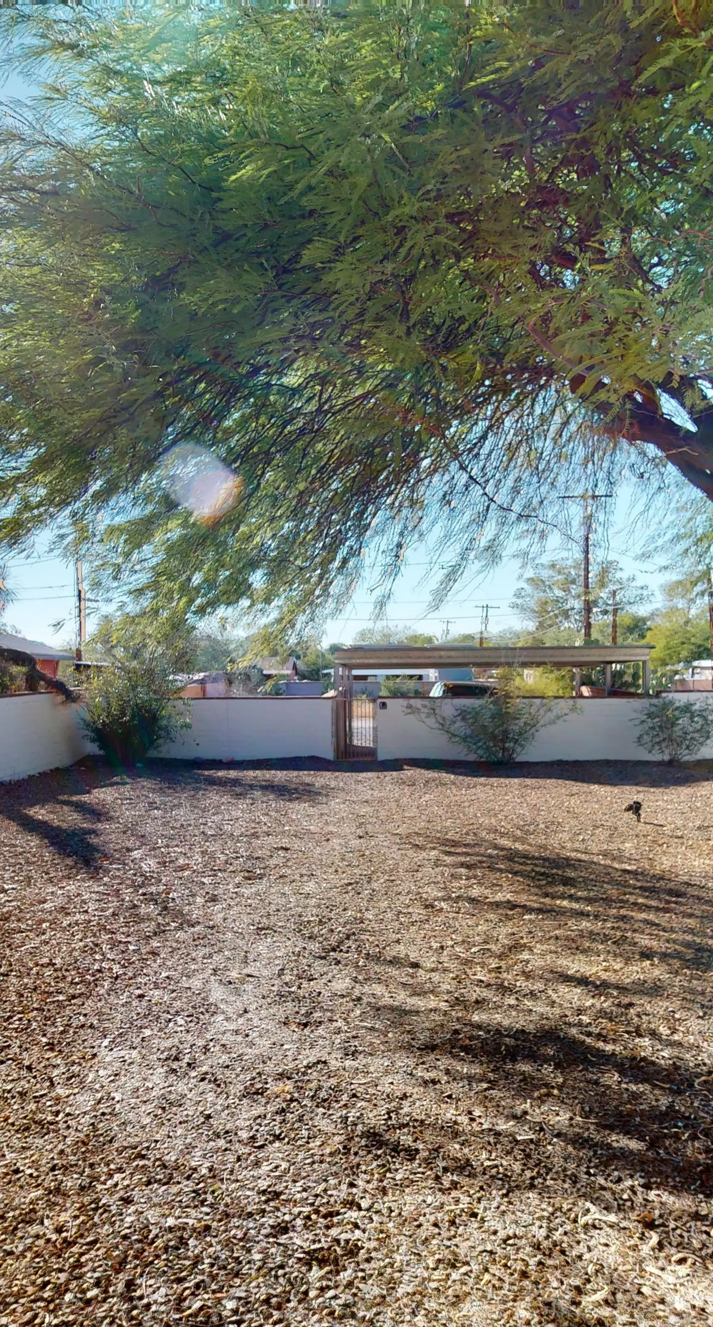 Tucson Treasure