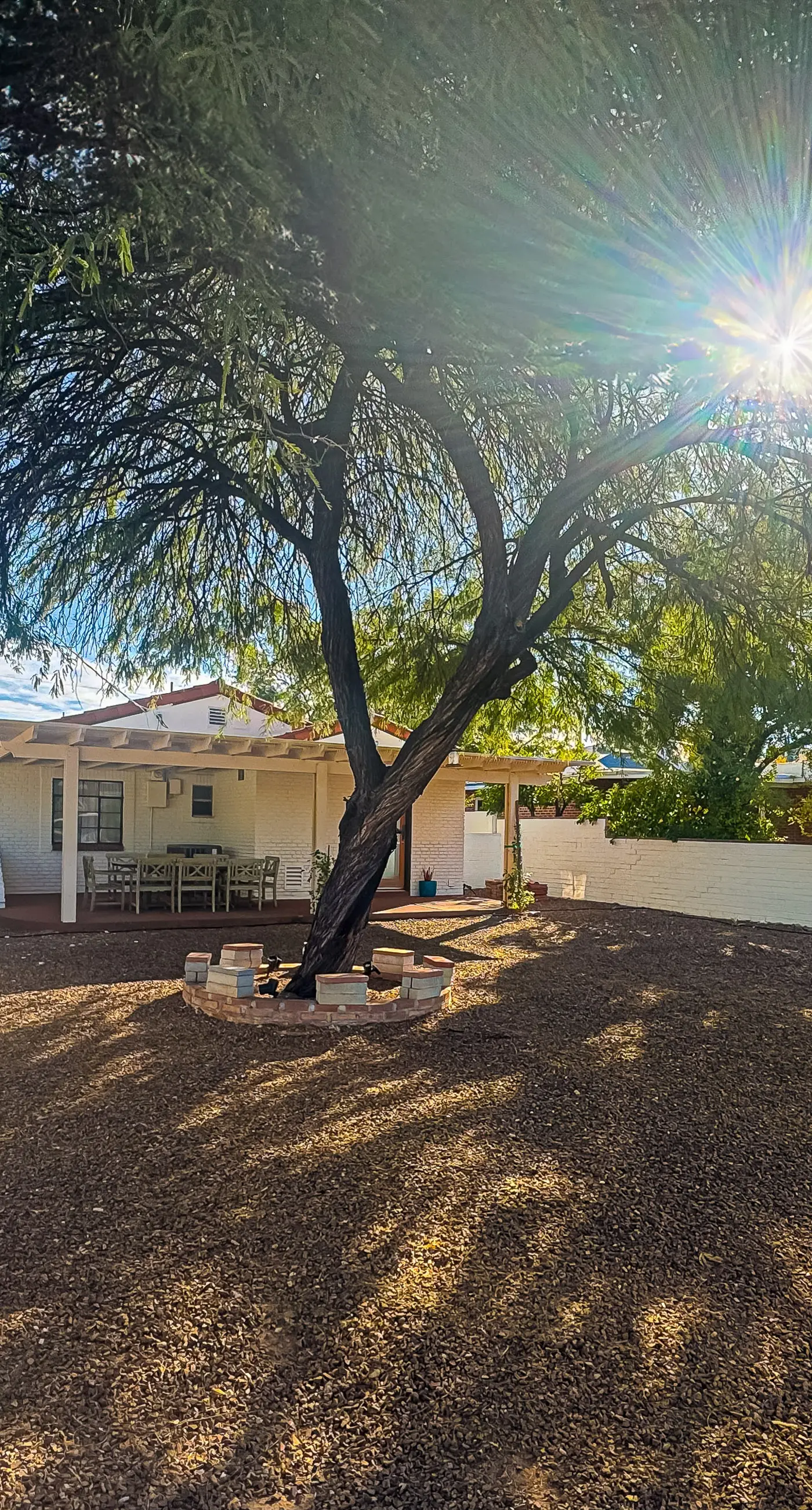 Tucson Treasure