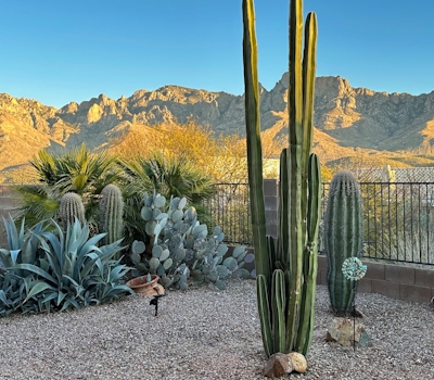 Starmist Mountain View