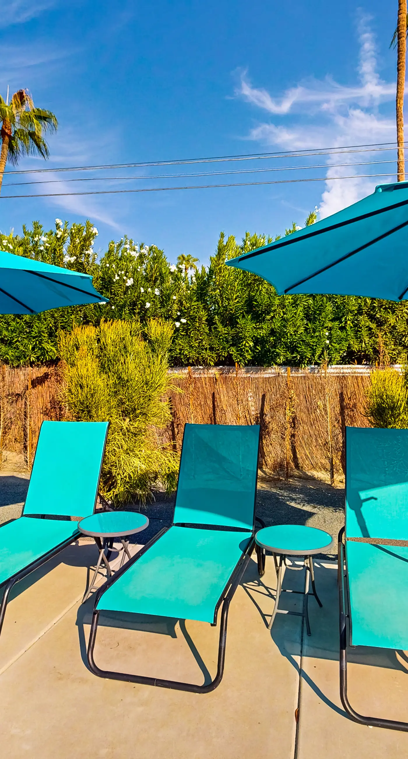 Mid Century Meiselman w/ Private Pool & Spa - 3971